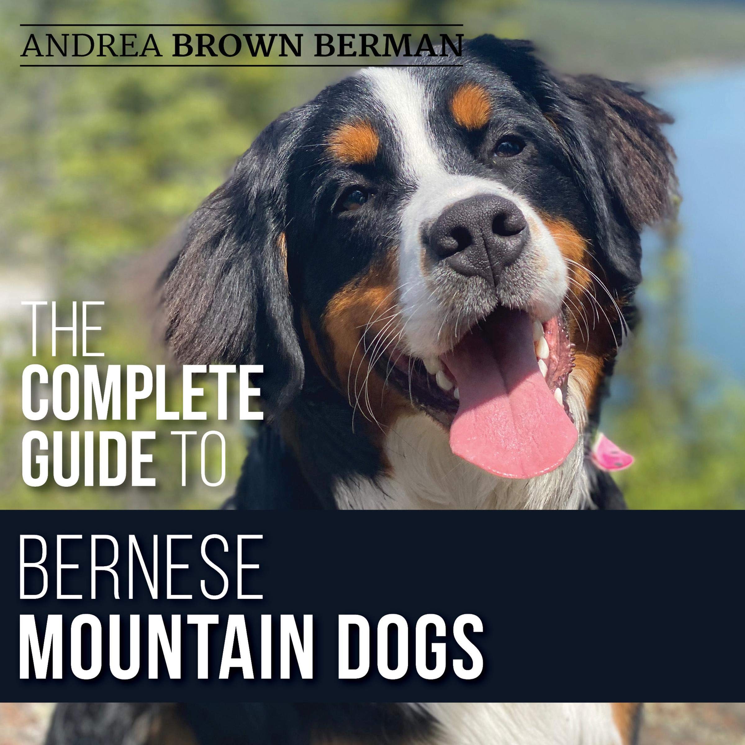 Cover art for The Complete Guide to Bernese Mountain Dogs