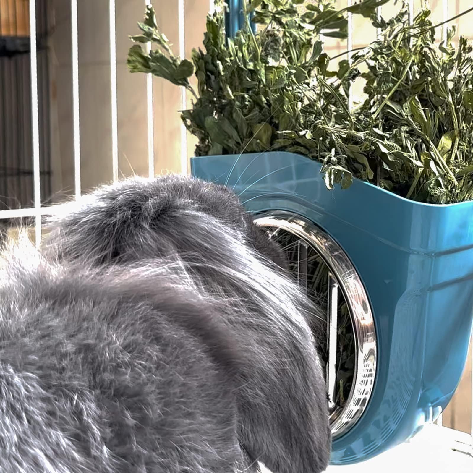 Small Animal Hay Feeder, Chew-Proof ABS Body, 304 Stainless Steel Grid Timothy Alfalfa Rack for Rabbit Bunny Guinea Pig Chinchilla Cage Hutch Crate (68oz, Blue) - image 7