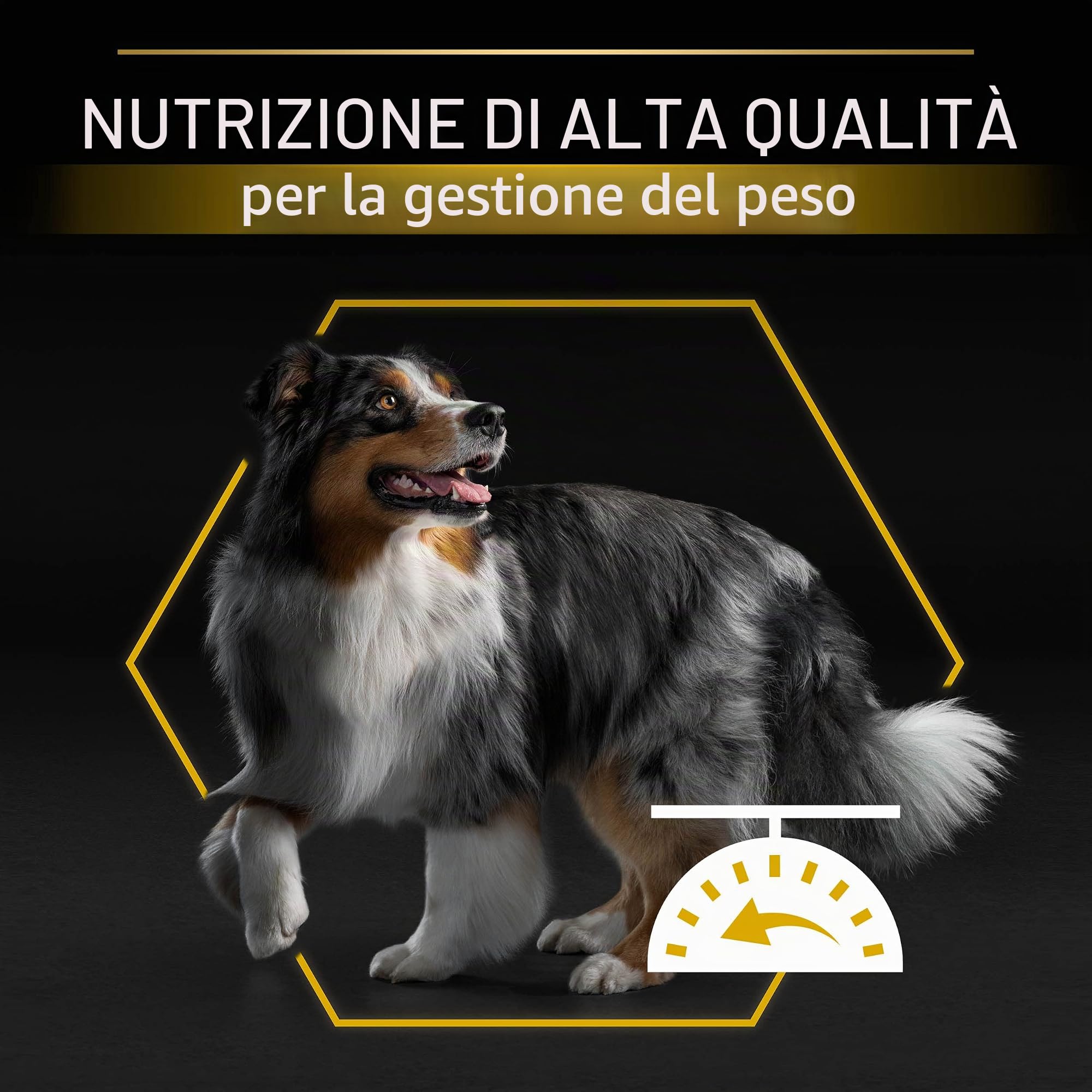 Purina Pro Plan All Size Light/Sterilized Cibo per cani adulti sterilizzato, leggero, controllo del peso con pesce bianco, sacco da 14 kg