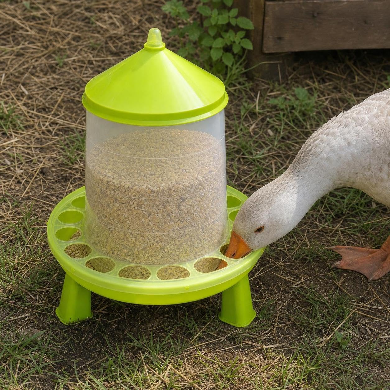 Mangiatoia Automatica per Galline, 4 kg