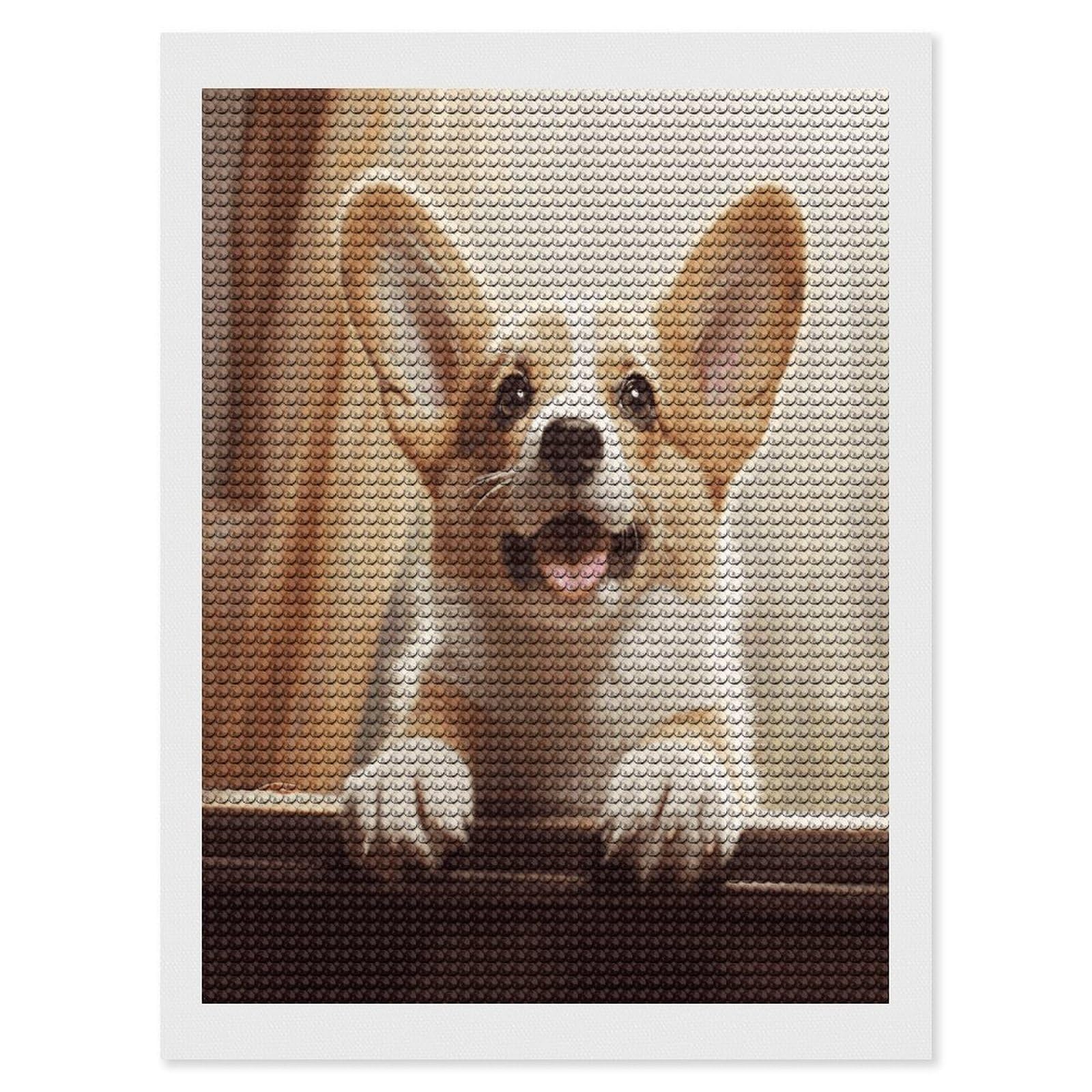 FekiLoot Diamond Art Kits for Adults, DIY 5D Cute Corgi Diamond Painting Kits for Beginners, Full Round Drill Diamond Dots Painting Gem Art Crafts for Home Wall Decor & Gift 12"x16"