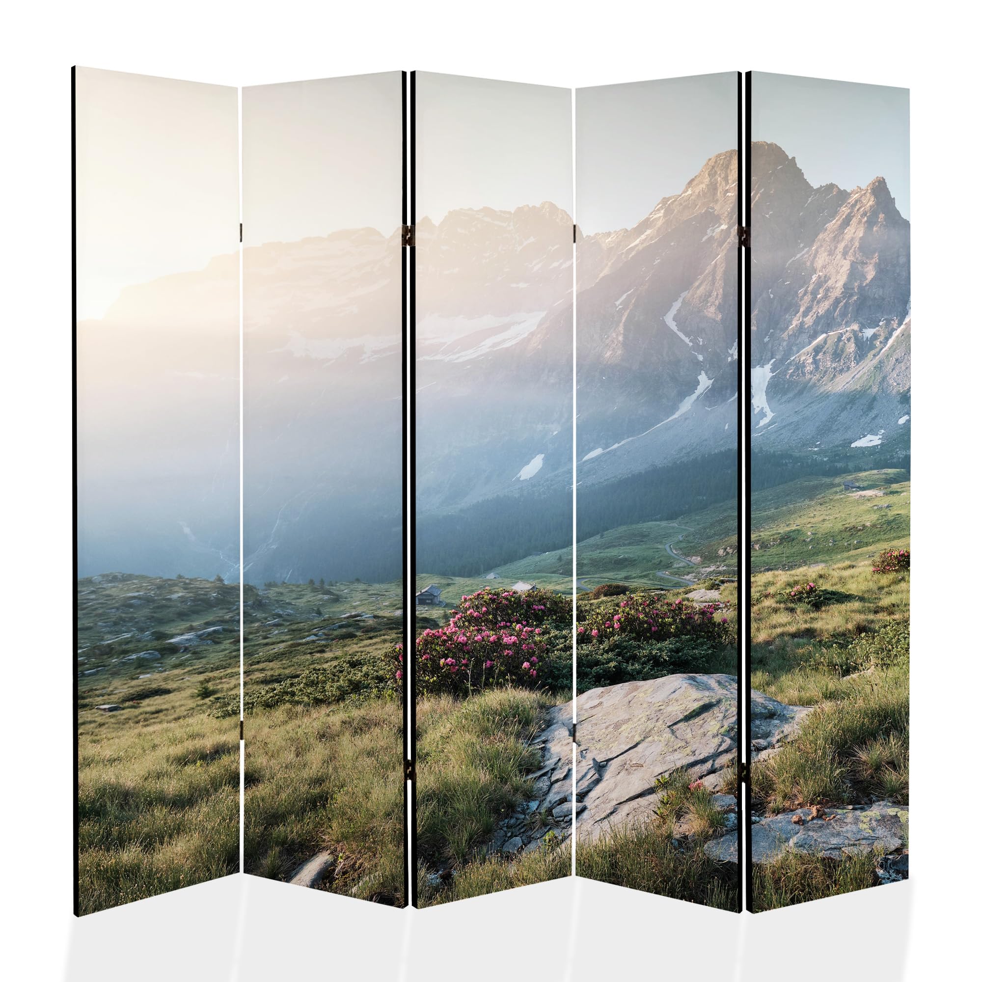 Paravent Raumteiler Holz 225x172 cm, 5-teilig beidseitig, Sichtschutzwand
