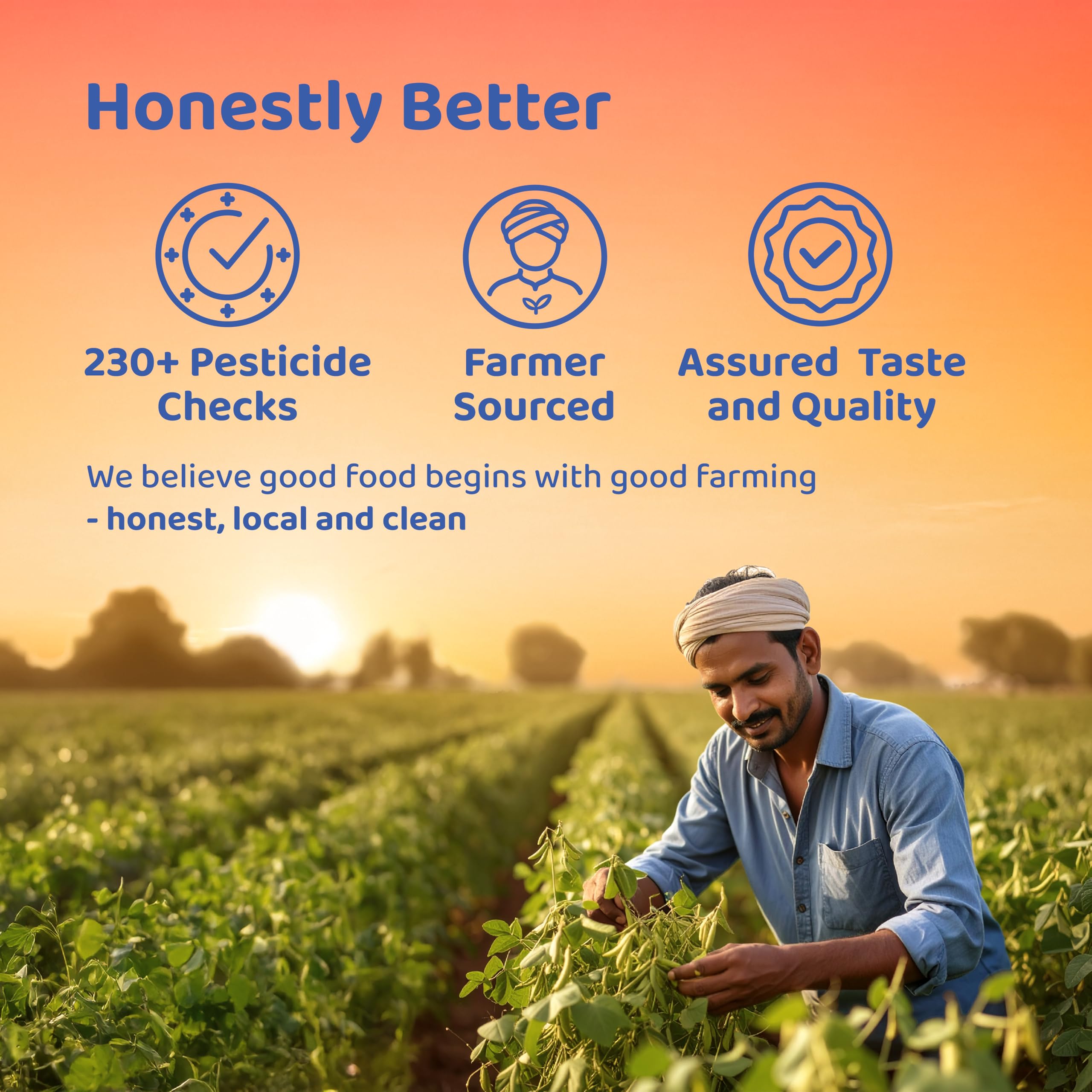 Dehaat Honest Farms Cardamomo Nero Senza Pesticidi 30 Gm. - Intero
