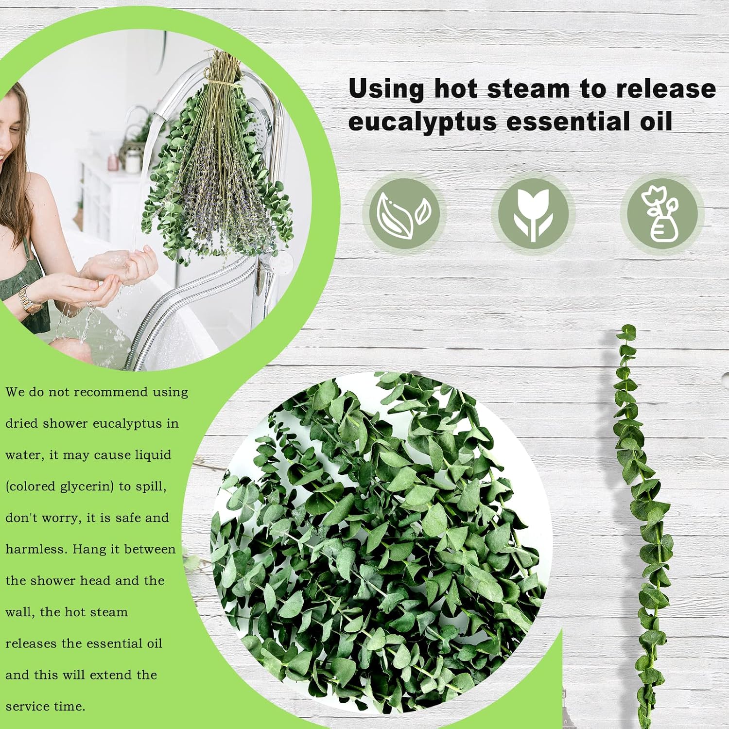 Dried Eucalyptus for Shower with Lavender Bundle-Real Eucalyptus Stems and Lavender Hanging Plant | Self-Care, Wedding, Home Decor by TOMOON