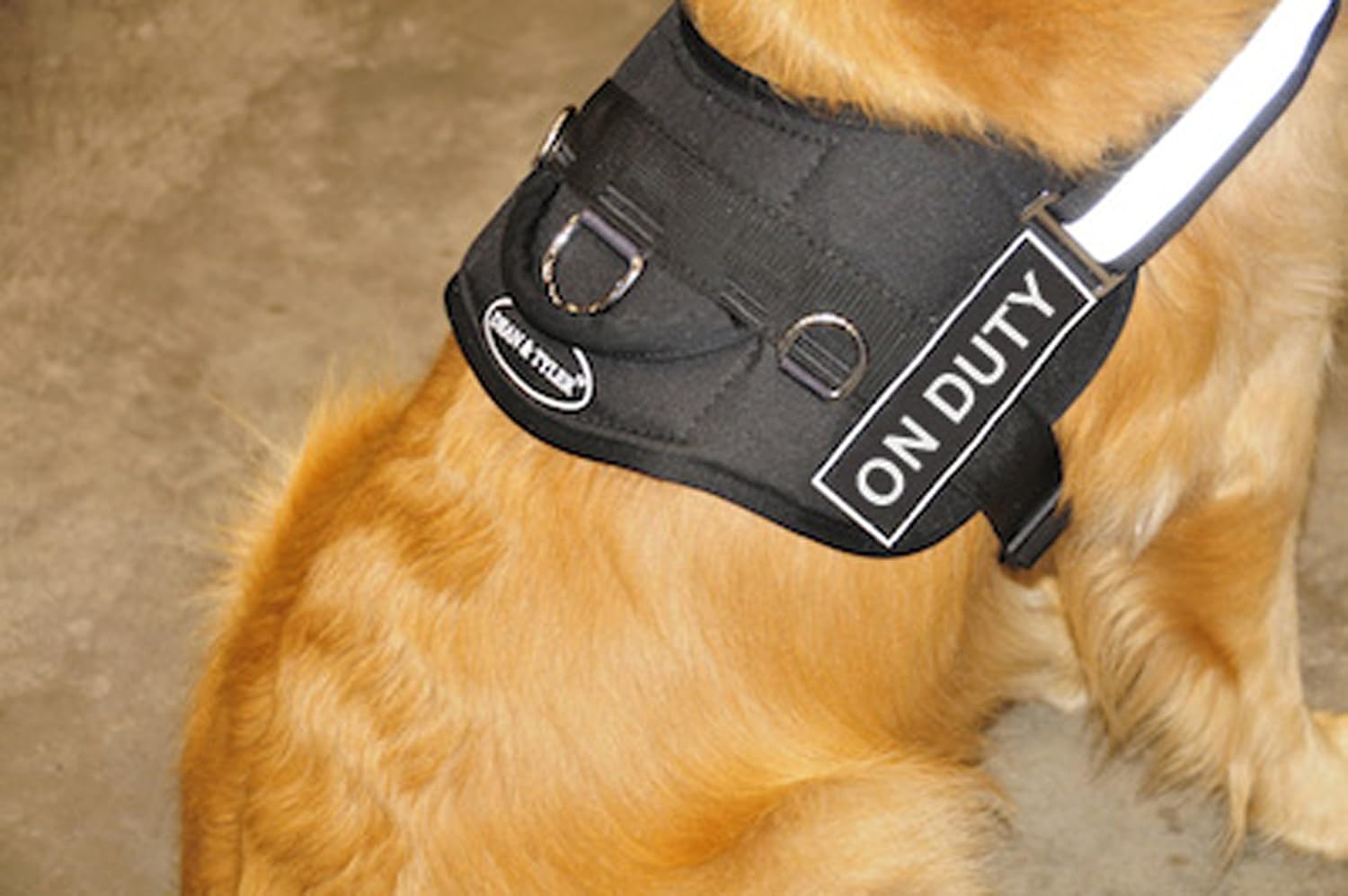 Dean and Tyler Works Harness with Removable Velcro Patches, On Duty, Fits Girth 22-Inch to 27-Inch, Small