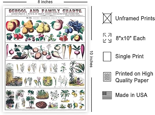 Miniatura 56 de Poster Master Póster vintage de orquídea, estampado de flores retro, arte de pared de plantas exóticas, arte botánico, regalo para hombres y