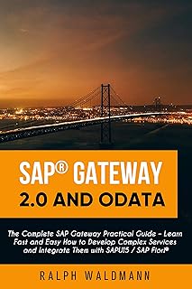SAP Gateway 2.0 and OData: The Complete SAP Gateway Practical Guide – Learn Fast and Easy How to Develop Complex Service...