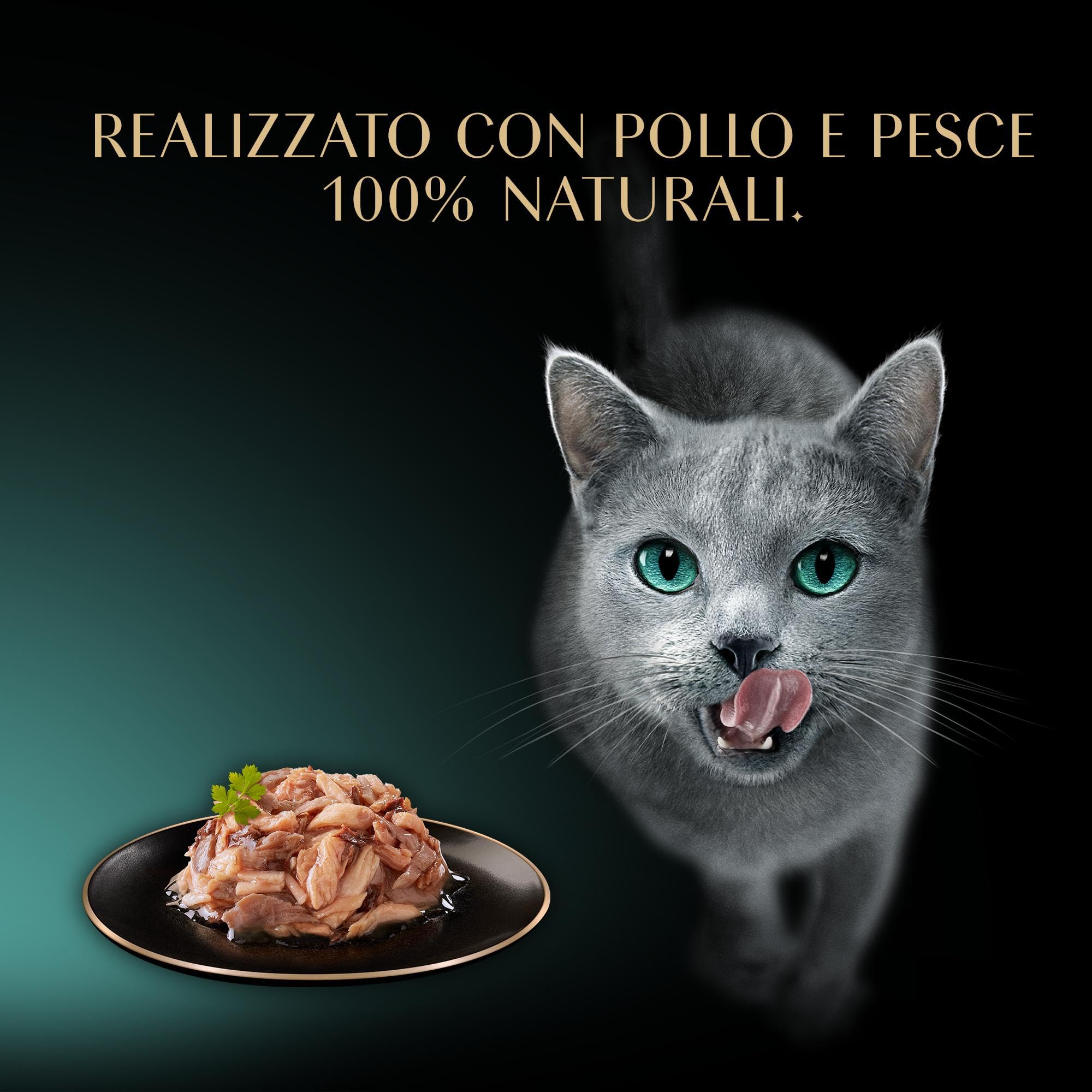 Cibo per gatti adulti SHEBA Filets gusti assortiti in salsa Vaschette 6x60g, confezione da 6