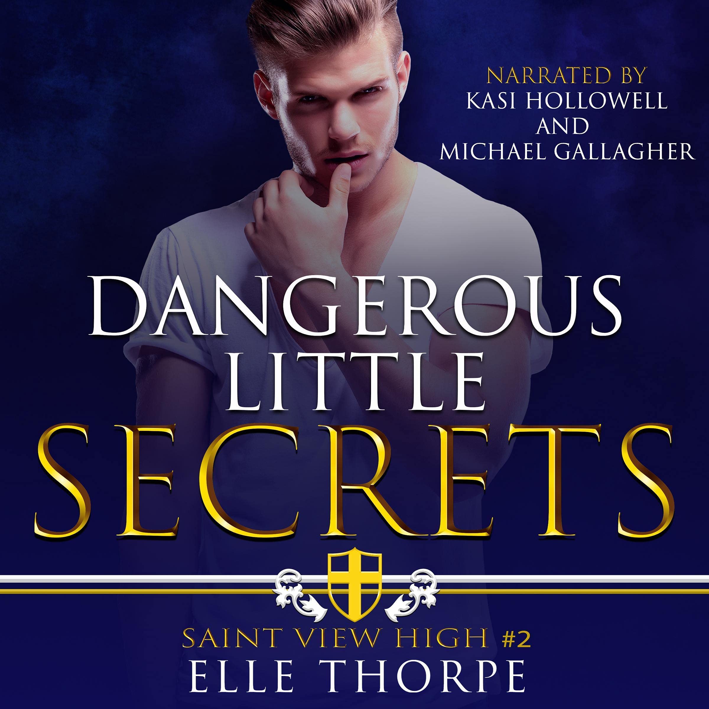 Cover art for Dangerous Little Secrets