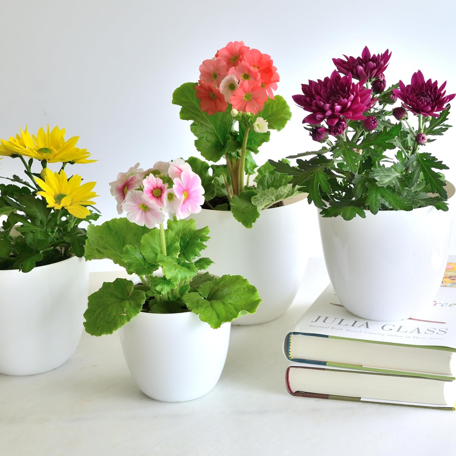Youngever 6 Pack 4.5 Inch, 5.5 Inch, 6.5 Inch Plastic Planters Indoor Flower Plant Pots Combo (White) image 5