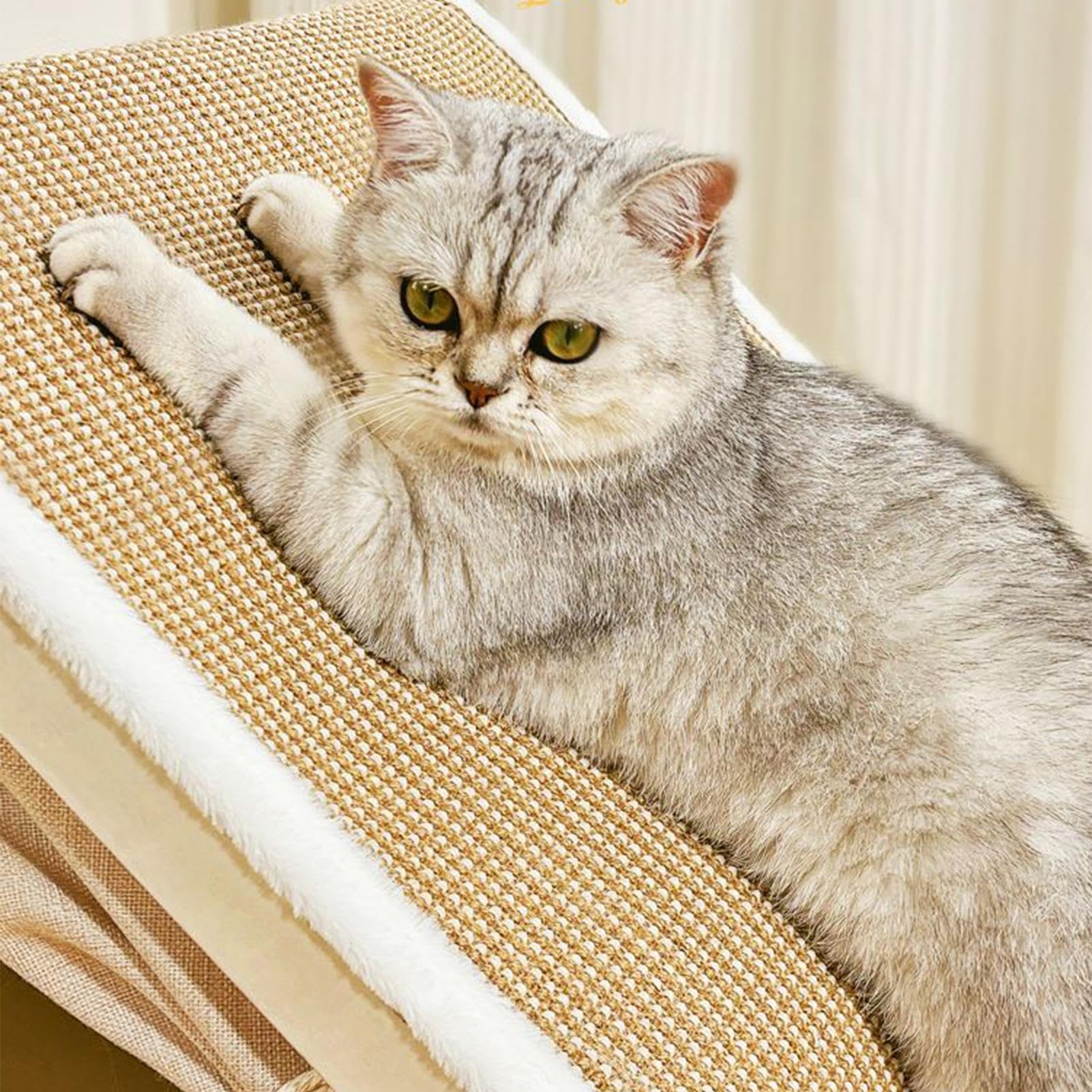 Tenda Cuccia Gatti Casa per con Tiragraffi in Sisal per Riposo e | Tenda Tiragraffi per Adatta a Casa Interna, Camera da , Stanza Animali, e Pavimento Invernale