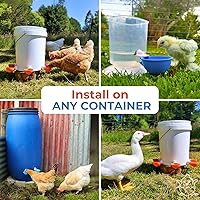 Vista 6 de Lil'Clucker Vasos grandes automáticos para bebedores de pollos Comedero de agua para pollos adecuado para pollos, pato, ganso, pavo y conejo, kit