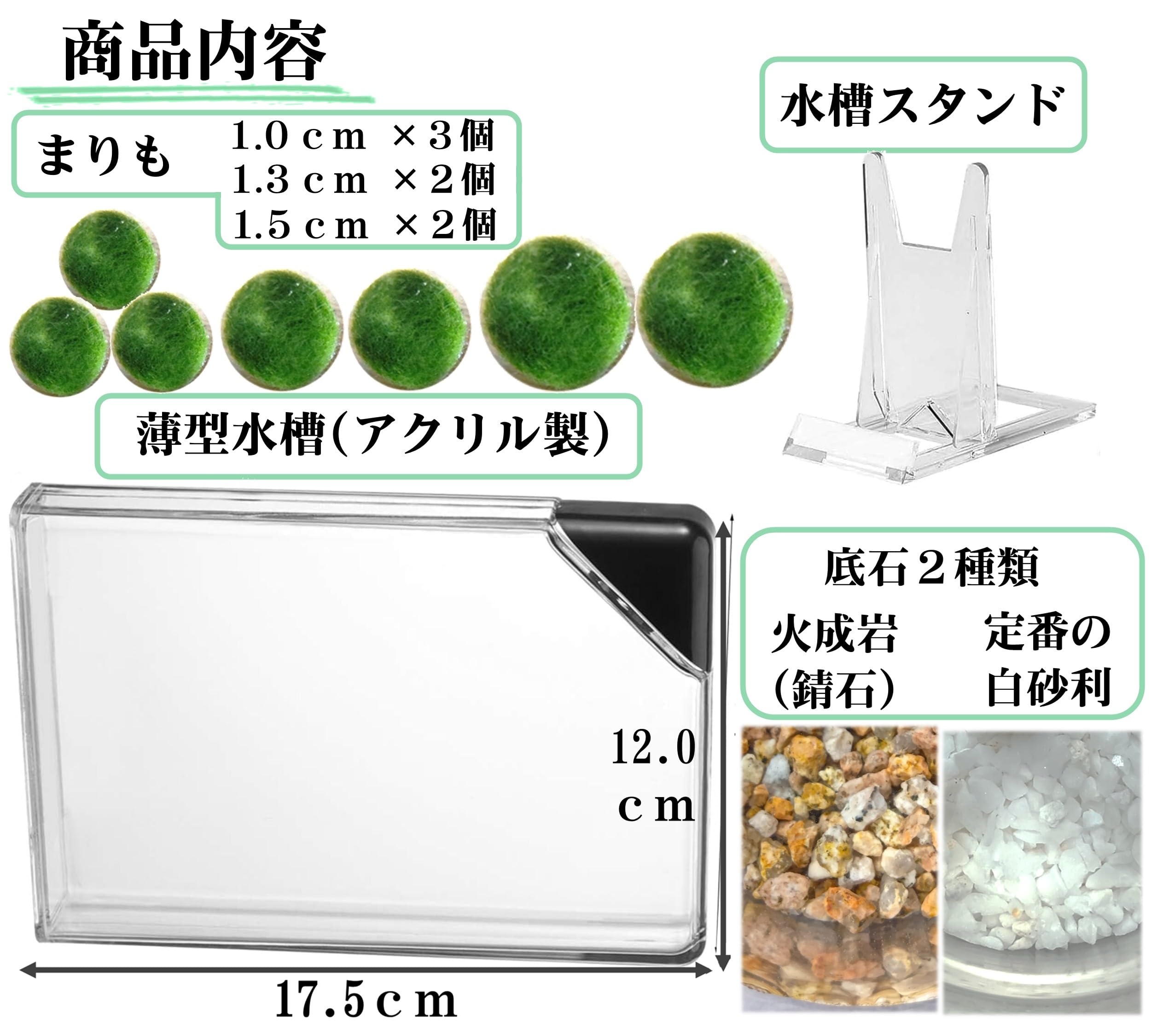 Amazon | まりも薄型水槽(1.0cm×3個,1.3cm×2個,1.5cm×2個) 飼育セット