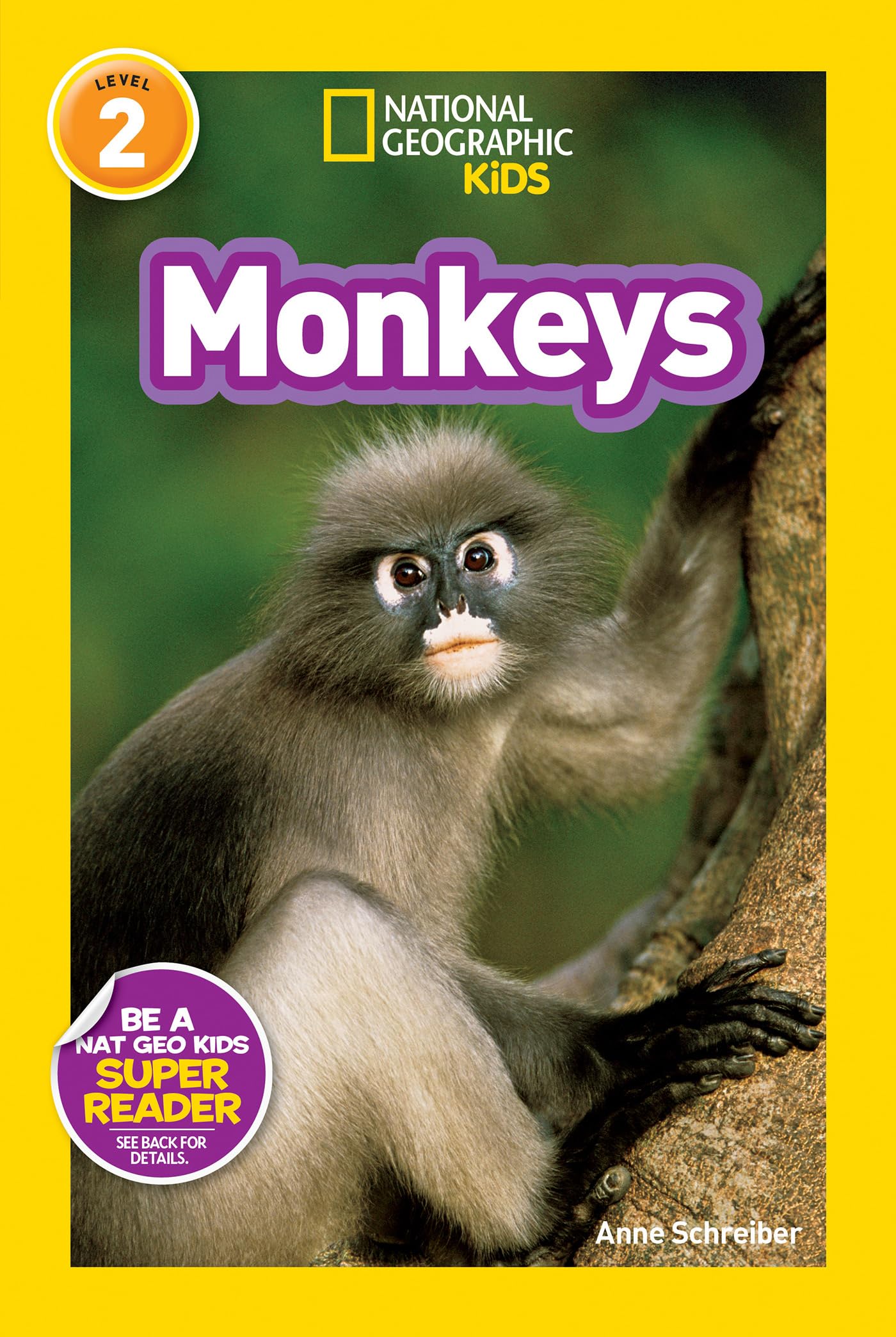 National Geographic Kids レベル1,2,3 National Geographic Kids level2-3