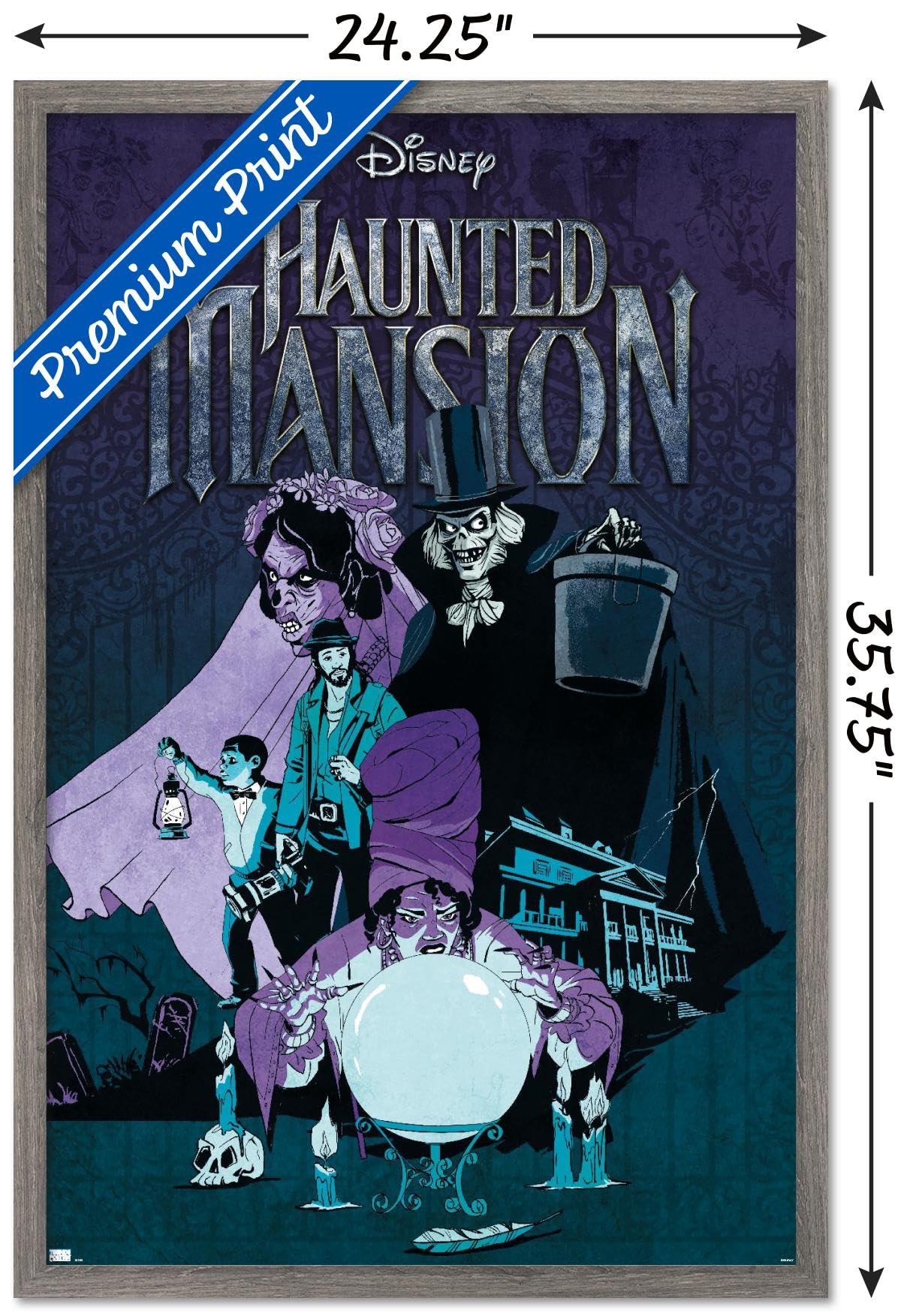 Disney Haunted Mansion パンフレット Amazon.com: Disney Haunted Mansion - Group Wall Poster, 34L