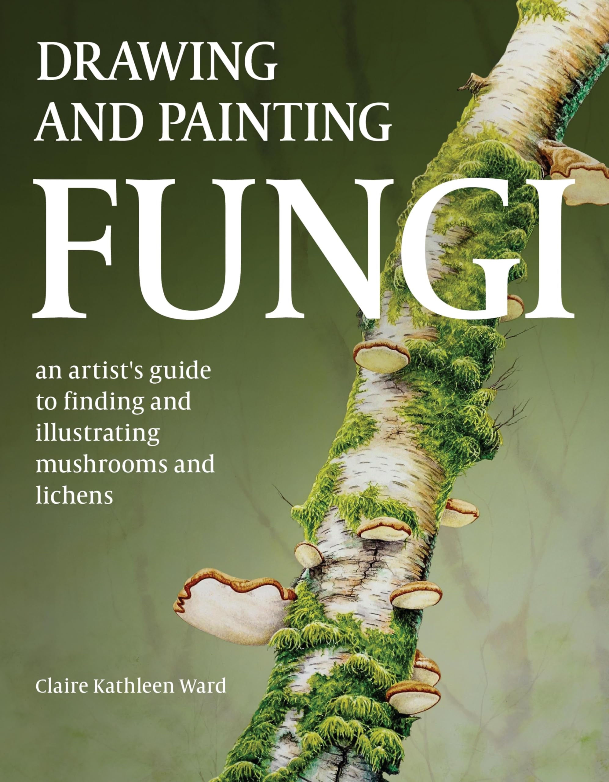 Illustration botanique champignons ouvrage de référence pour artistes