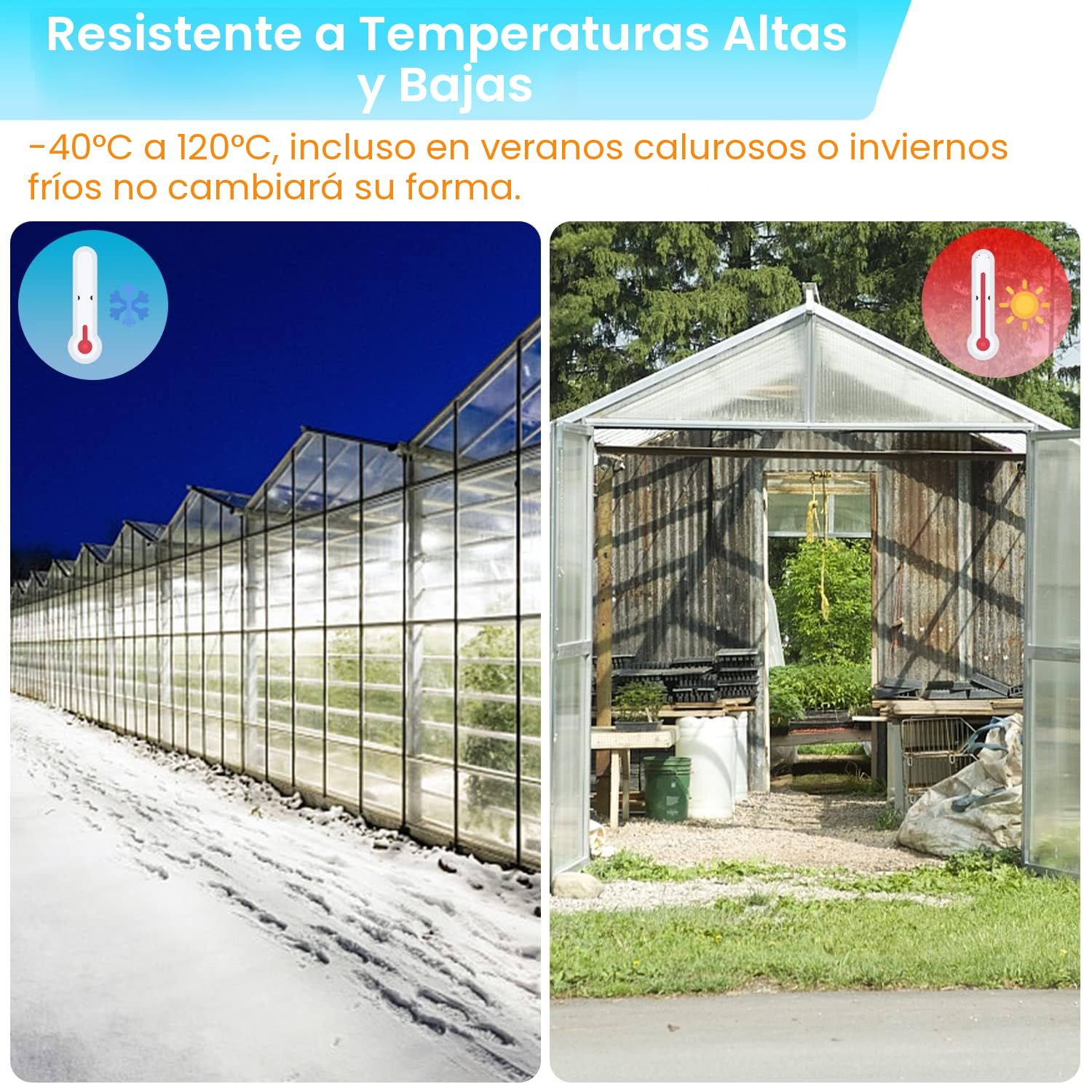 Placas de policarbonato para cámaras huecas, 14 unidades, 4 mm, planchas huecas, 60,5 x 121 cm, placas de invernadero de 10,25 m², láminas dobles transparentes para invernadero, jardín