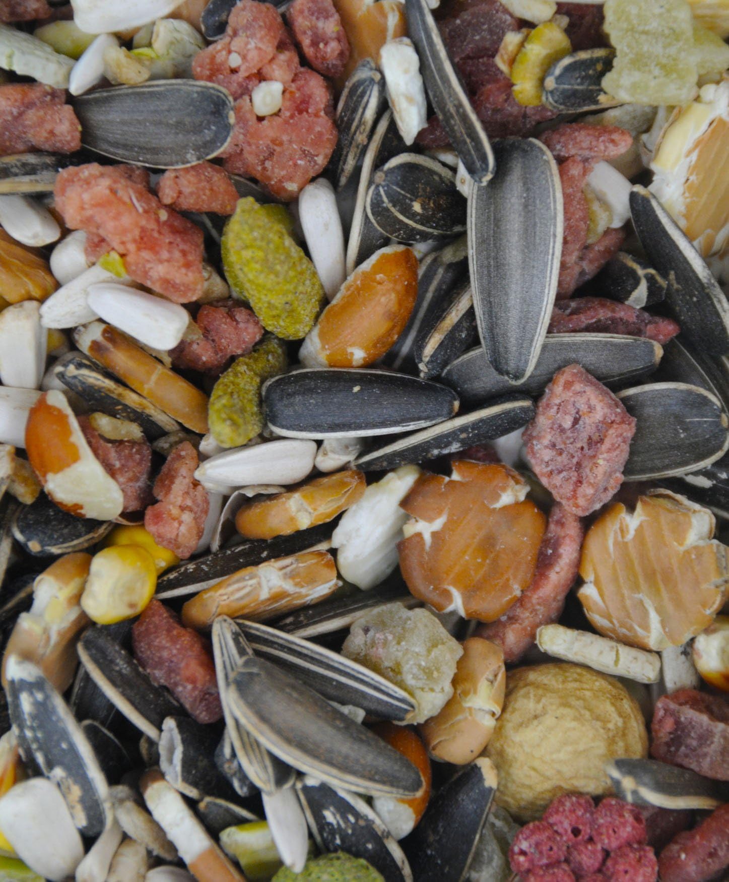 Dawn Chorus 12.55 kg Fruitti Parrot Food