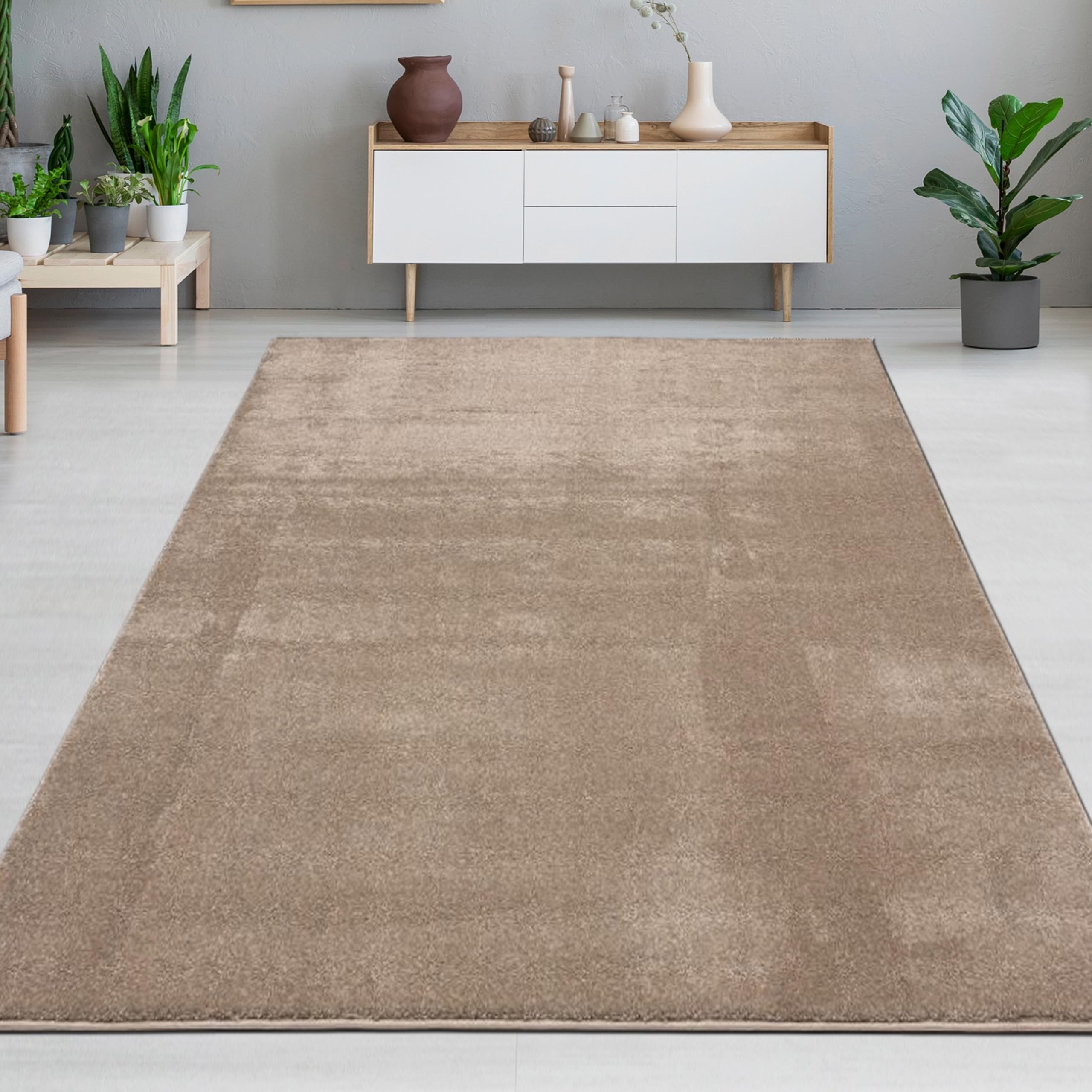 CARPETIA Dywan nowoczesny dywan designerski ze strukturalną powierzchnią łatwy w pielęgnacji stabilny wymiarowo odpowiedni do ogrzewania podłogowego spokojny wygląd harmonijna atmosfera mieszkania