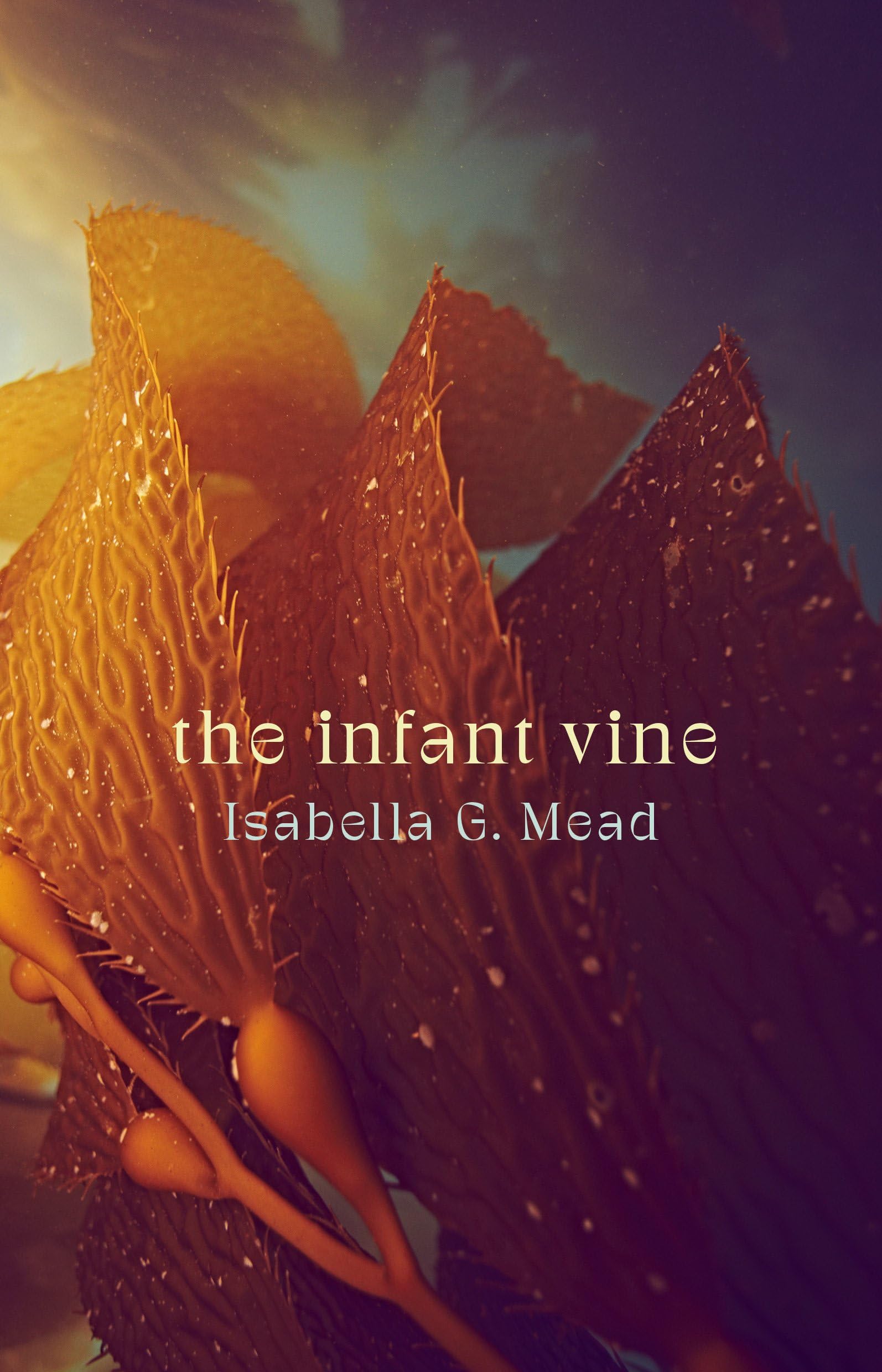 Cover of The Infant Vine
