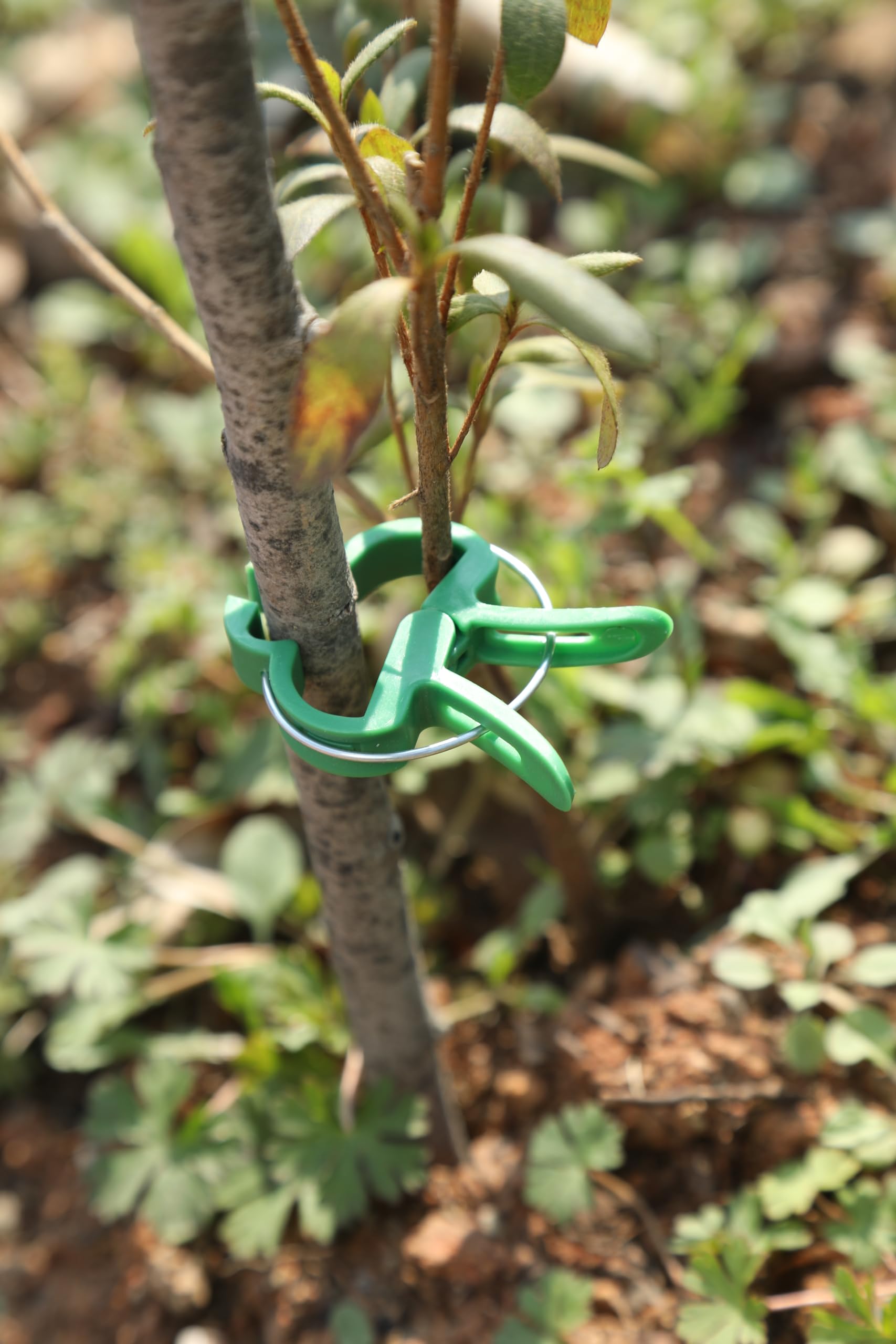 Botanopia Supporto Oro per Piante Rampicanti - Mini Plant Stake - Italia