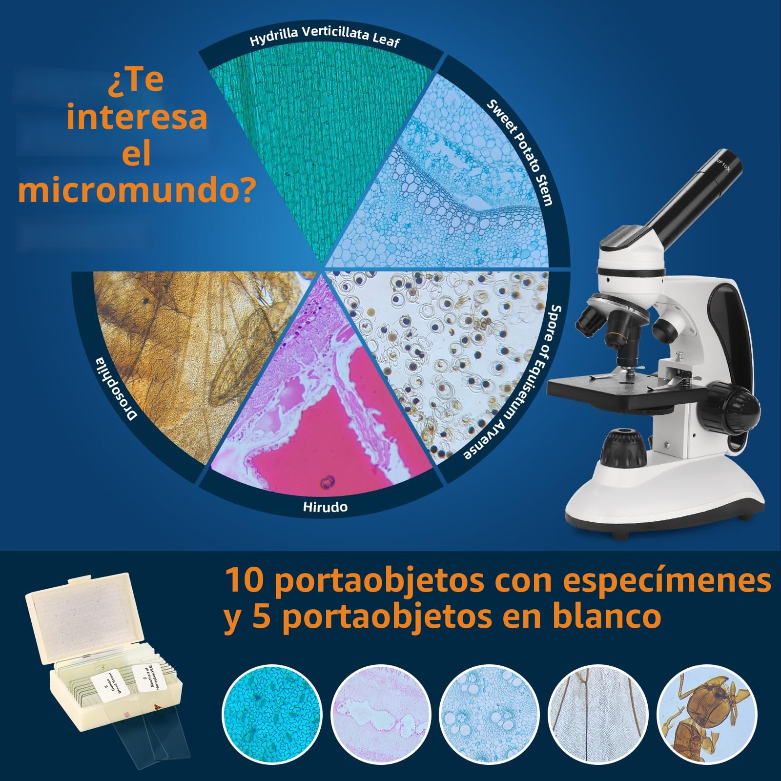 BEBANG 40X-2000X Microscopio para niños Adultos, LED de Doble iluminación microscopio Estudiante con Kits de Ciencia para la investigación de Laboratorio, educación en el hogar,Regalo en Clase
