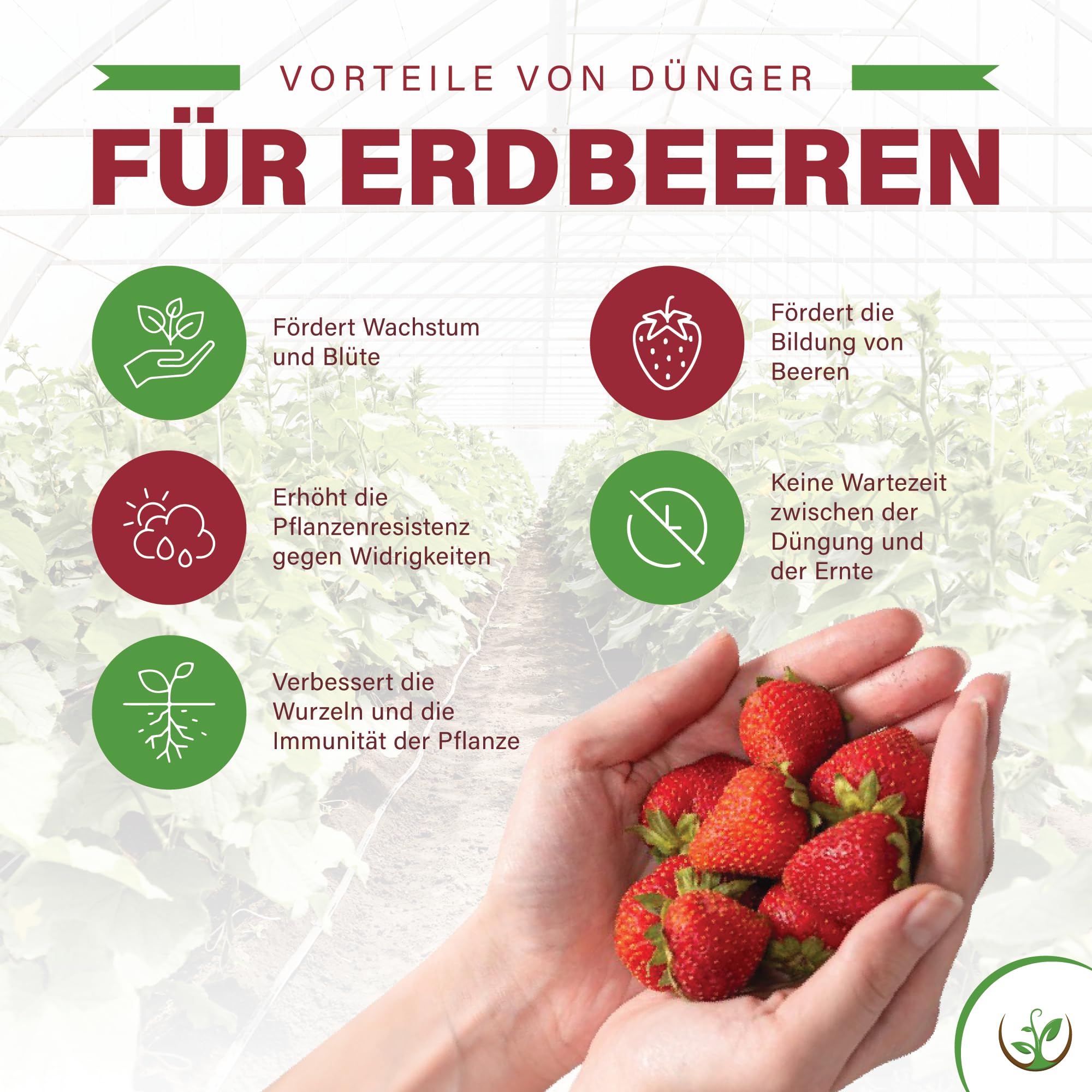 Hortulani Bio-Erdbeerdnger mit Mikroorganismen - Natrlicher Beerendnger  fr gesunde Wurzeln & krftige Pflanzen - Biologischer fr Erdbeeren, 500g  fr 50m2 Gartenflche : Amazon.de: Garten