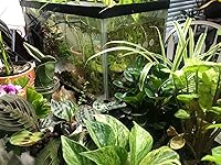 Review Image by I❤️MyWife! I❤️MyWife!