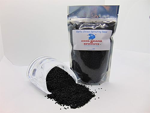 Marca "COOL BEANS n SPROUTS", semillas de cebollino de ajo para germinar microverdes, 4 onzas, un superalimento lleno de antioxidantes y nutrientes disponible en Yaxa El Salvador