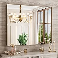 Vista 58 de Espejo de baño negro de 20x30 pulgadas con marco de metal negro, espejo de tocador rectangular redondeado con acabado mate para pared, con vidrio