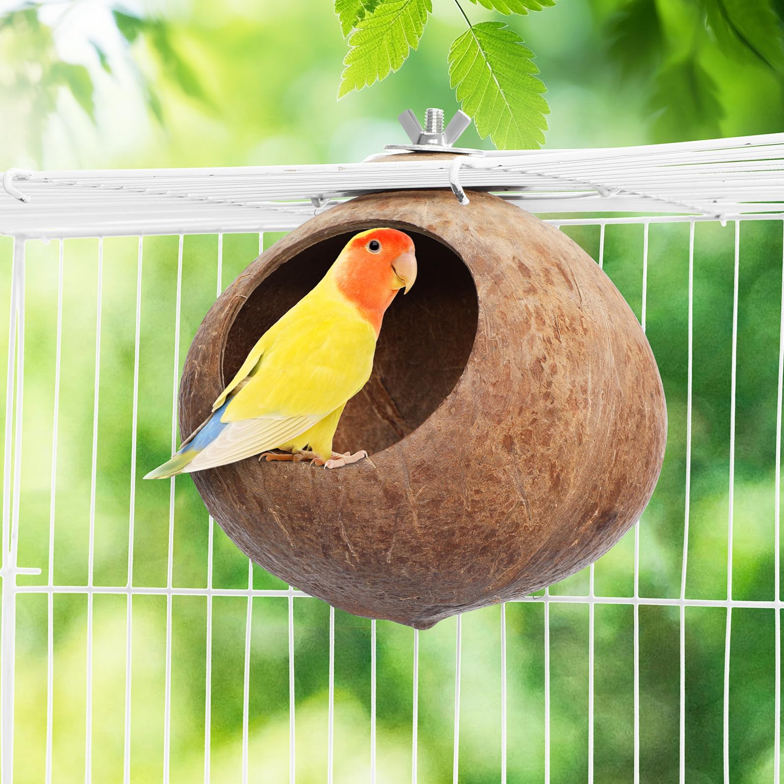 balacoo Vogelhaus aus Kokosnussschalen, natürliche Kokosnuss-Schale, Vogelkäfig für Wellensittiche, Papageien, Haustiere