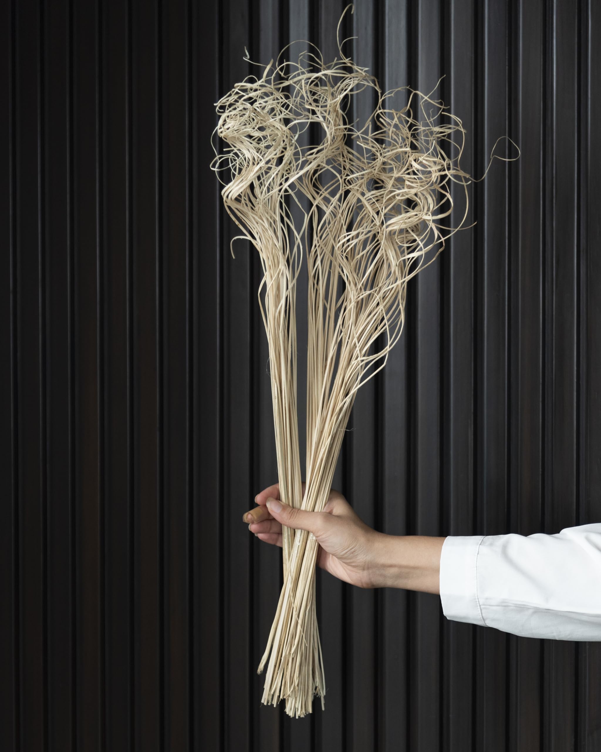 Flowers and Fillers || White Curly Sticks| Natural Dried Flower | Eco-Friendly Flowers for Home, Office, Bedroom, Table Decoration and Craft Items Corner (Without Vase Pot)-image-34