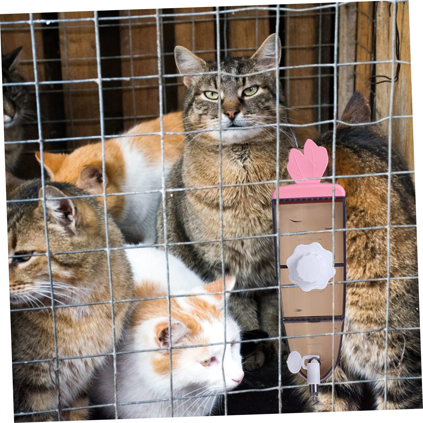 Mipcase Rabbit Water Dispenser Leak Automatic Pet Drinking Fountain for Rabbits Chinchillas and Other Animals Easy to and Attach to Cages Design