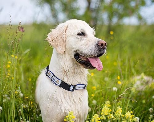 Miniatura 4 de Real Madrid - Camisetas de fútbol para mascotas, collares, bandanas y juguetes de fútbol para perros y gatos. Ropa deportiva para perros y gatos,