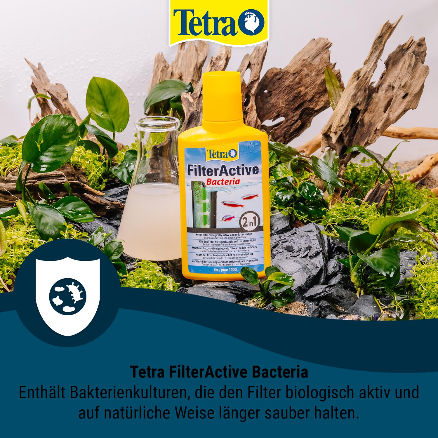 Tetra Aquarium Außenfilter EX 1000 Plus - leistungsstarker Filter für Aquarien bis 300 L + Tetra FilterActive Bacteria, 250 ml