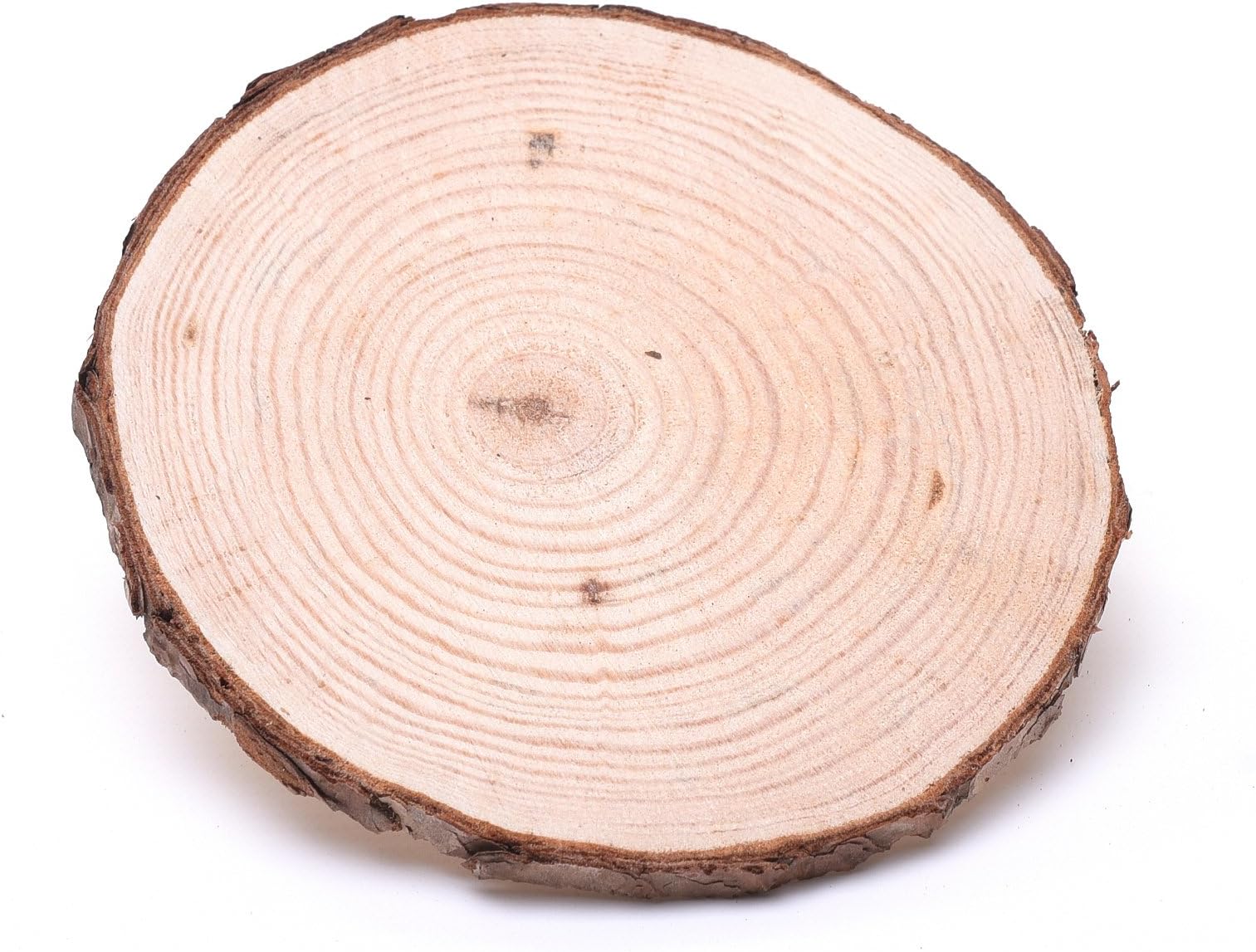 Five Plain Round Wooden 12cm Tree Log Slices – WBM1646