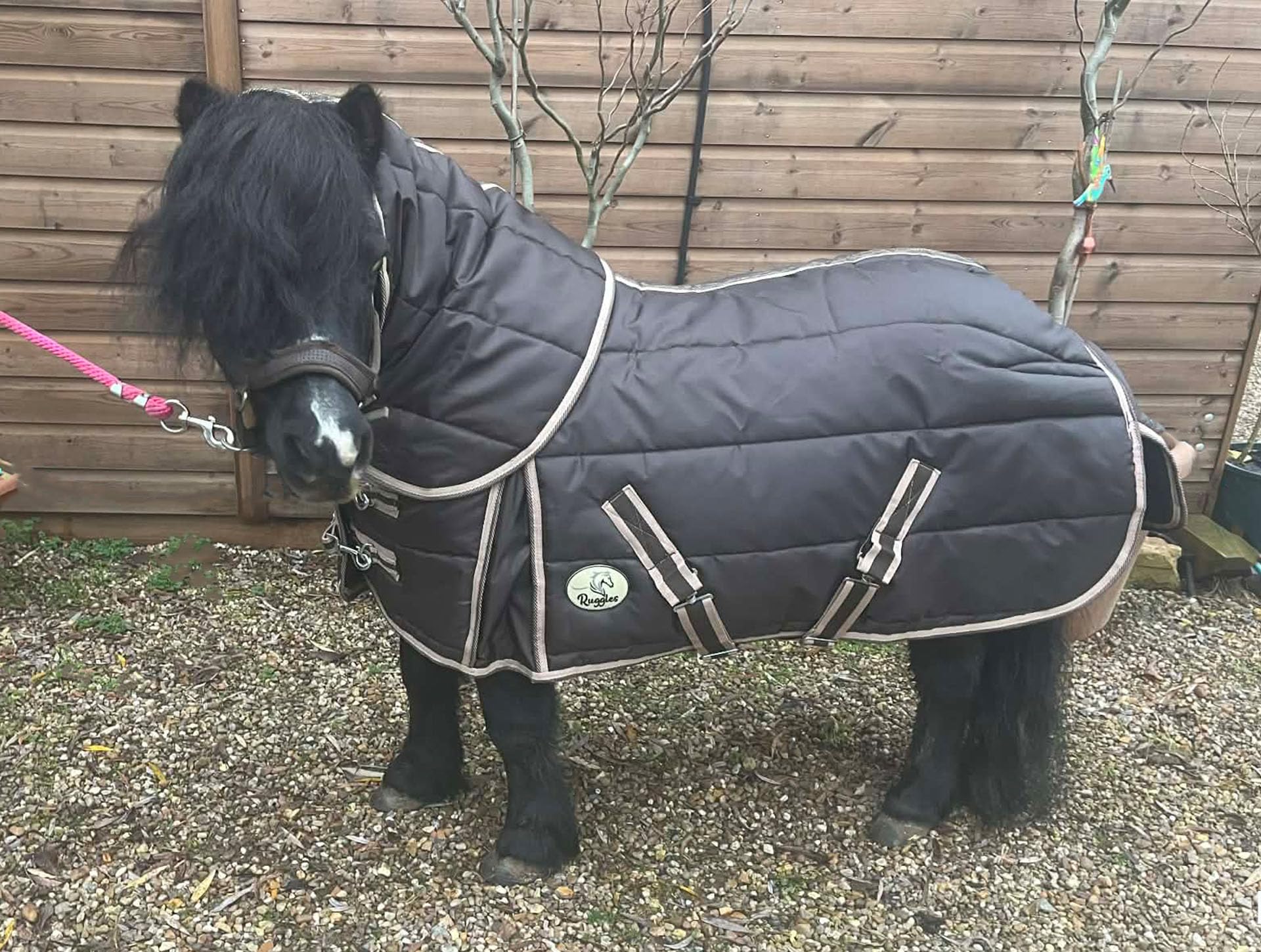 Ruggles 300g Stable Rug with Detachable Neck Cover for Shetland Section A Donkey Miniature Horse | Soft Nylon Anti Rub Lining | Smart Versatile Rug for Cooler Weather (Brown, 4' 6")