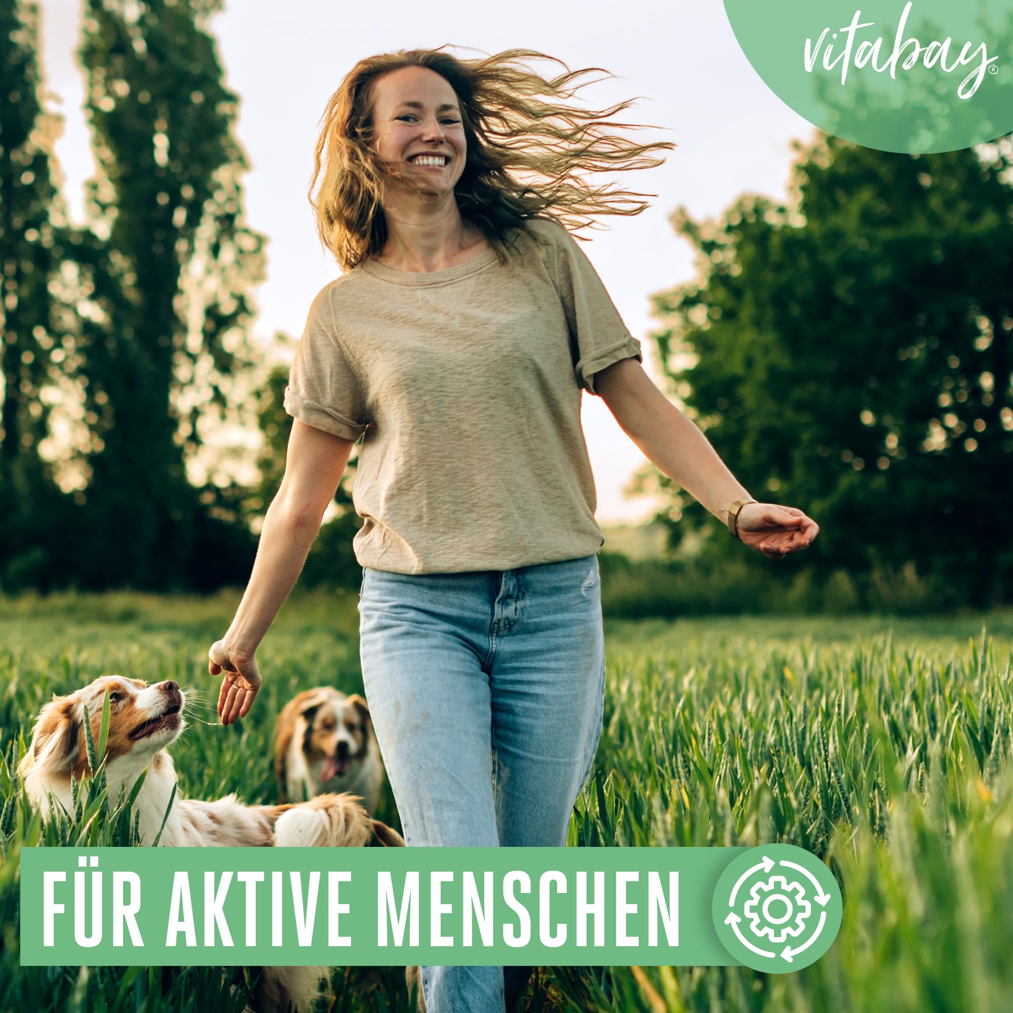 Vitabay MSM Tabletten Hochdosiert - 120 MSM Tabletten Hochdosiert VEGAN - MSM Pulver MSM 2000 pro Tagesdosis - MSM Schwefel Kapseln Hochdosiert MSN Gelenkskapseln - Pflanzliches MSM-Kapseln MSN 2000