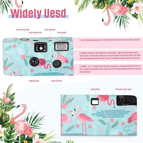 Miniatura 4 de Paquete de 4 cámaras desechables para verano, 1.339 in, cámara de un solo uso con flash cámaras desechables para reuniones de verano, boda,