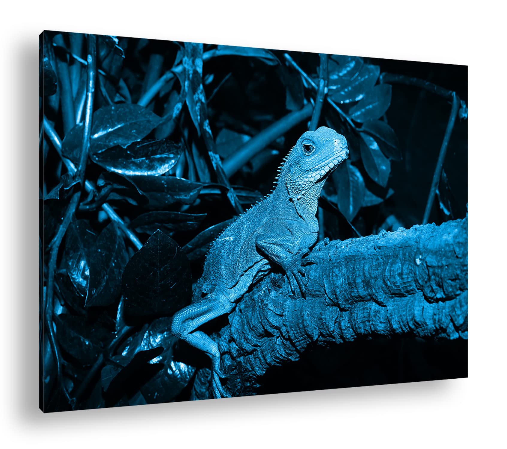 deyoli grüne Echse im Terrarium Format 120x80 Effekt: Monocrome Blau als Leinwandbild, Motiv fertig gerahmt auf Echtholzrahmen, Hochwertiger Digitaldruck mit Rahmen