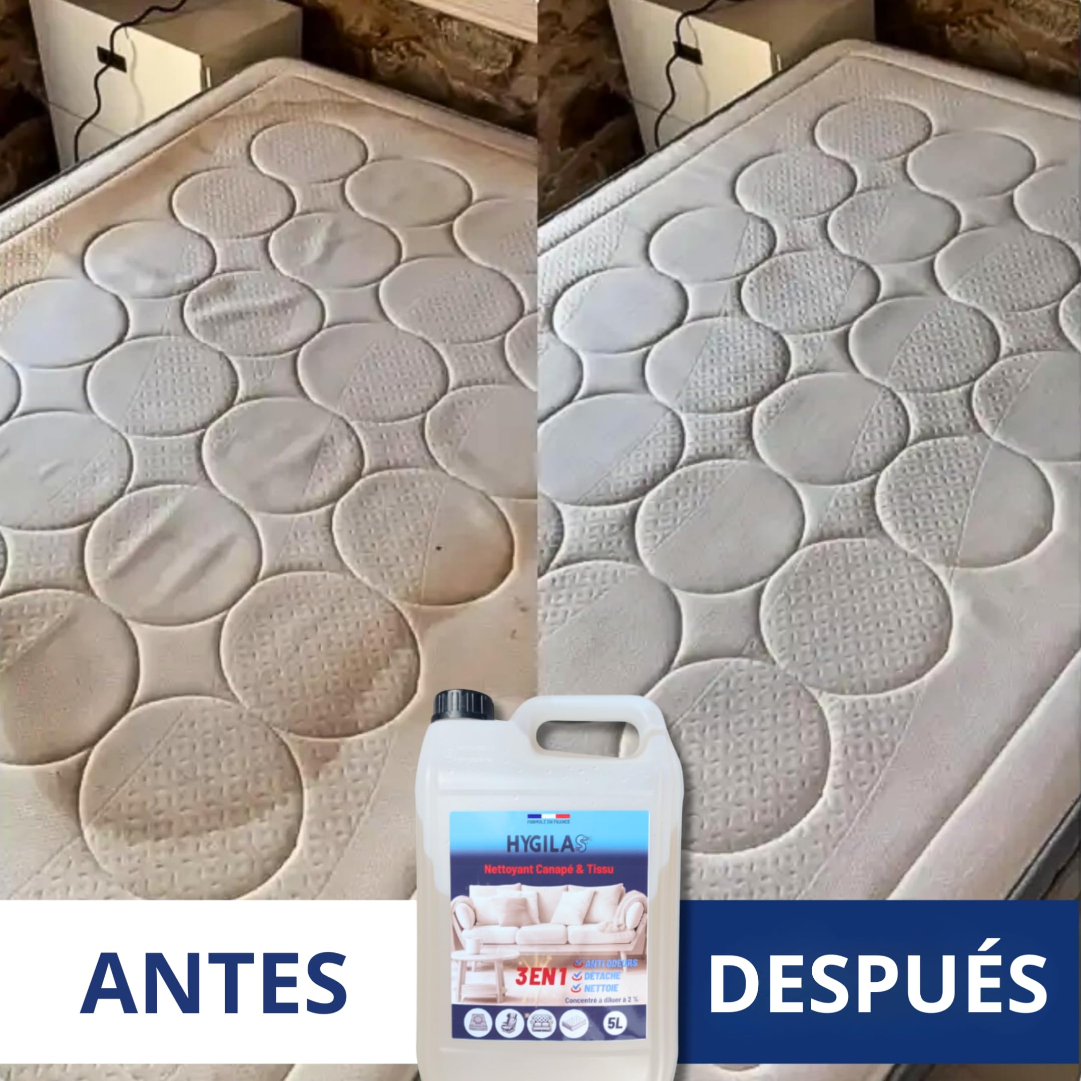 HYGILAS Limpiador Tapicerías Sofá 5L Profesional | Ultra Concentrado (500L) | Elimina Manchas y Olores | Compatible Inyector Extractor, Alfombras y Asientos Coche
