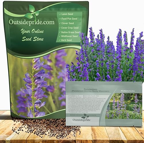 Outsidepride Semillas perennes de flores silvestres Penstemon Rocky Mountain de 14 lb para plantar
