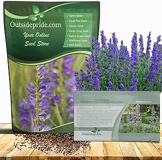 Outsidepride Penstemon Seeds - 1/4 Lb. Perennial, Drought-Tolerant & Pol...