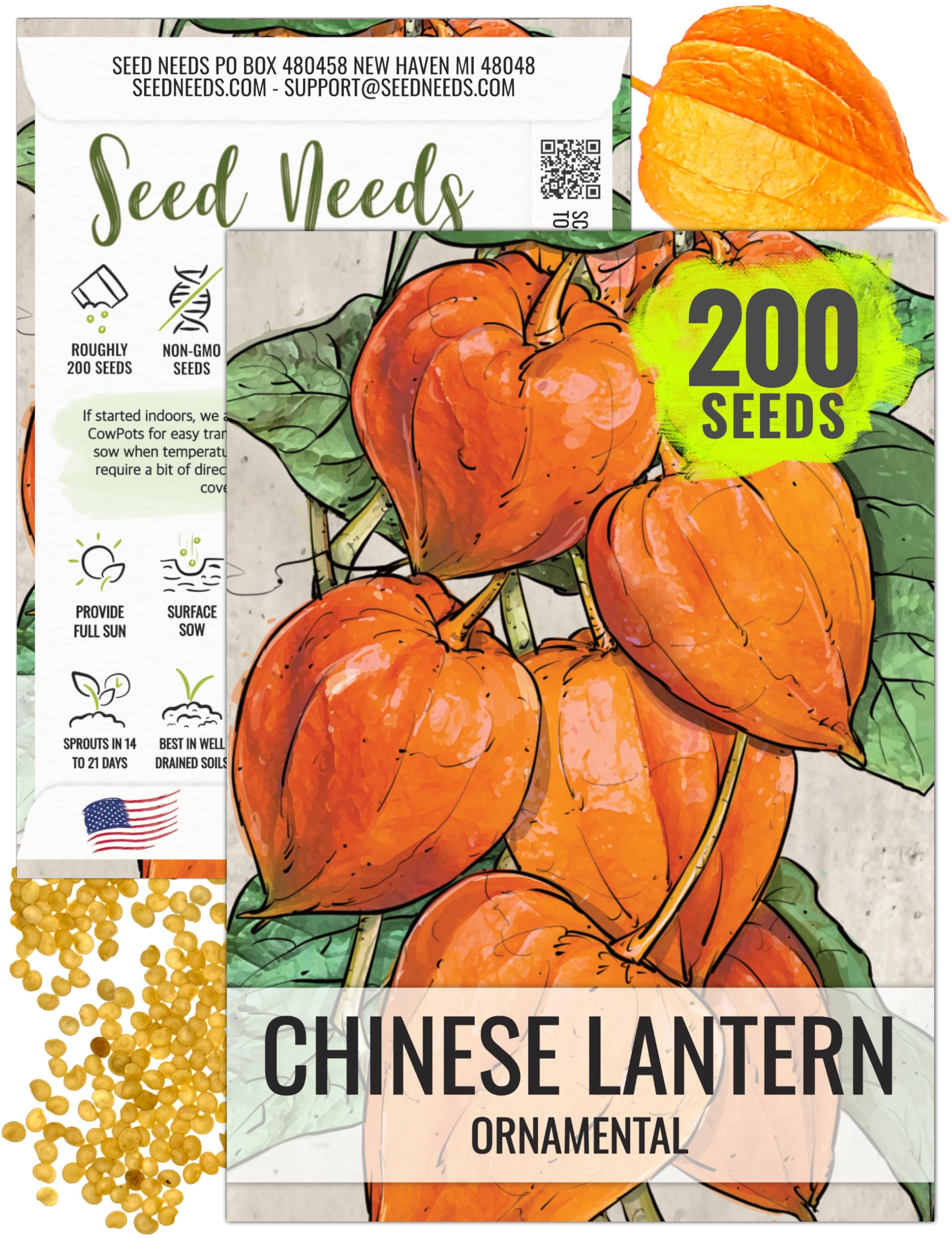 Seed Needs Chinese Lantern Seeds for Planting (Physalis Alkekengi) Heirloom & Open Pollinated Orange Ornamental Husk Cherries - Annuals to Plant an Outdoor Garden (1 Pack)