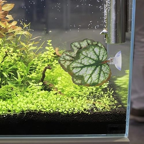 Miniatura 5 de iplusmile Betta - 2 almohadillas para hamacas de hojas de acuario, accesorios para plantas de pecera, accesorios para jugar escondites y