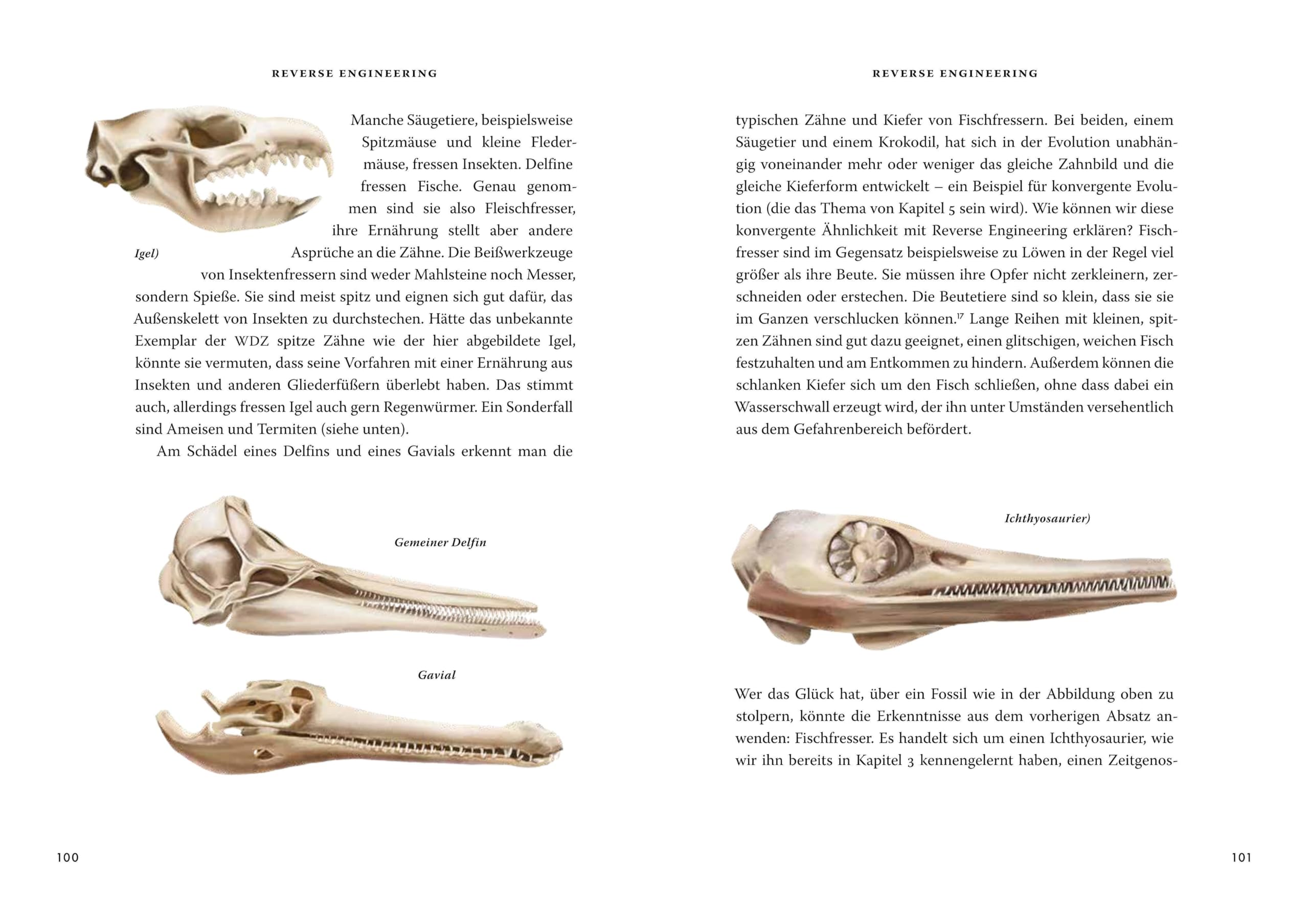 Das große Buch der Evolution: Eine neue Sicht auf die Entwicklung des Lebens