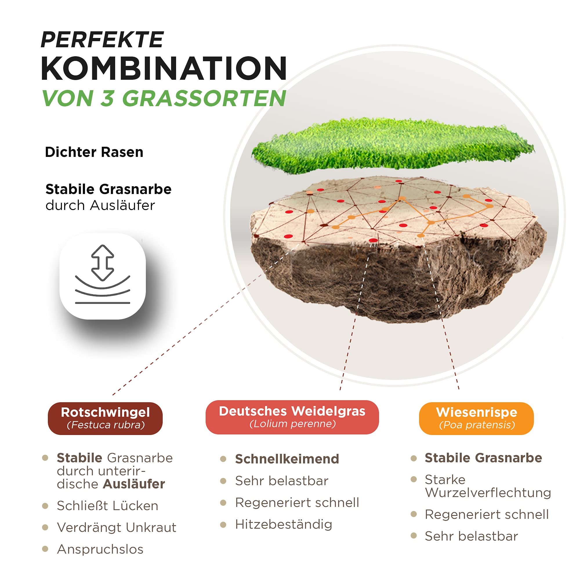 Horse Star graszaad paardenweide 15 kg Ten Have Seeds Graszaad voor Weide