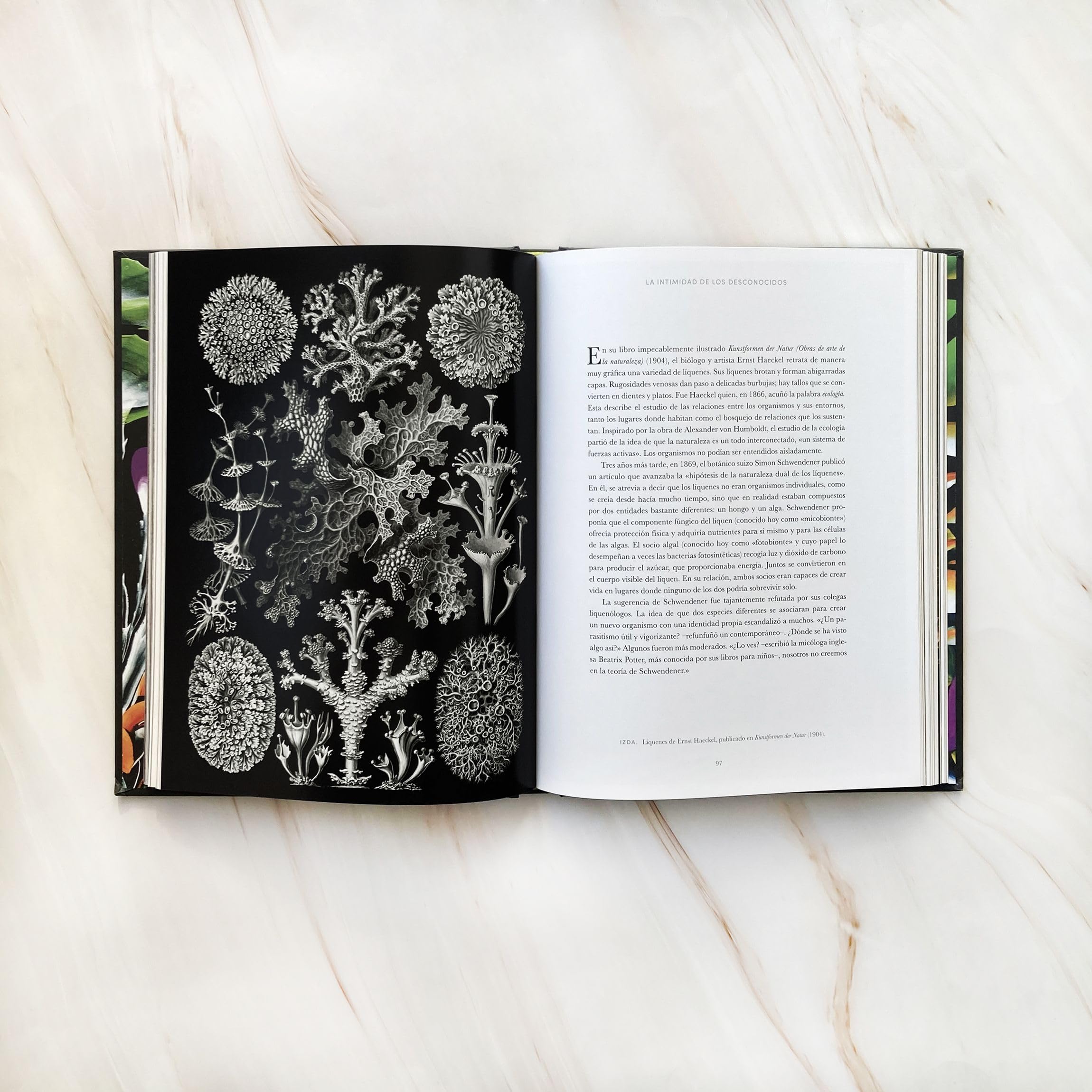 La red oculta de la vida (edición Ilustrada) (geoPlaneta Ciencia)