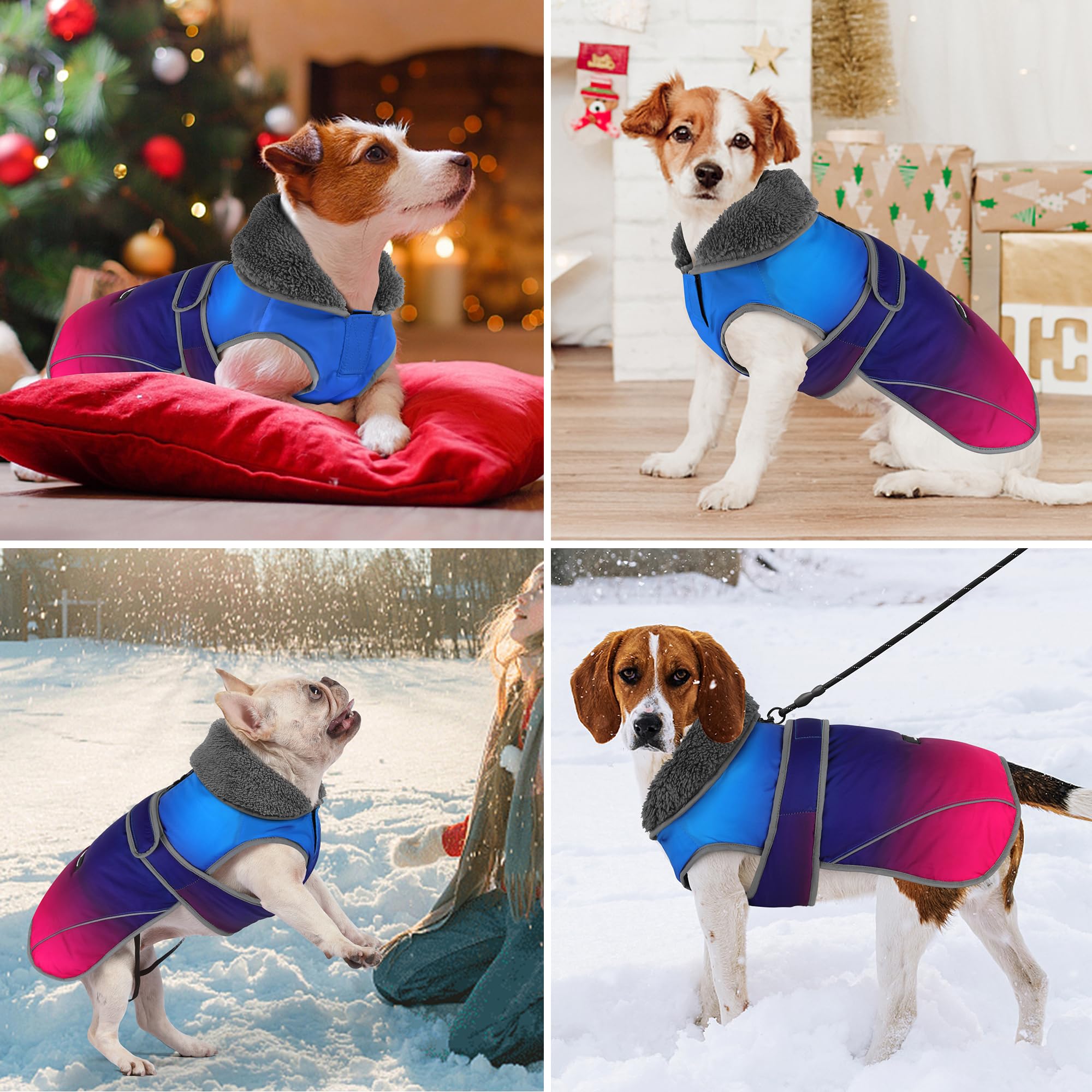 View 6