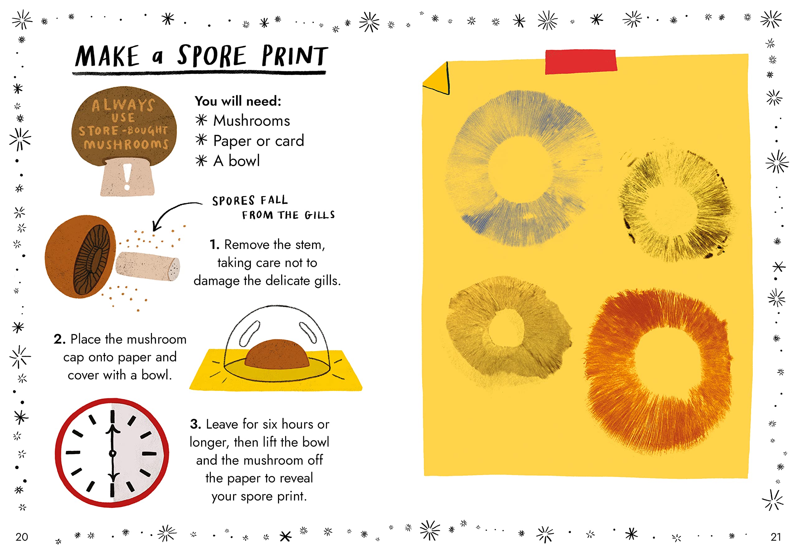 Hello Fungi A Little Guide to Nature /anglais